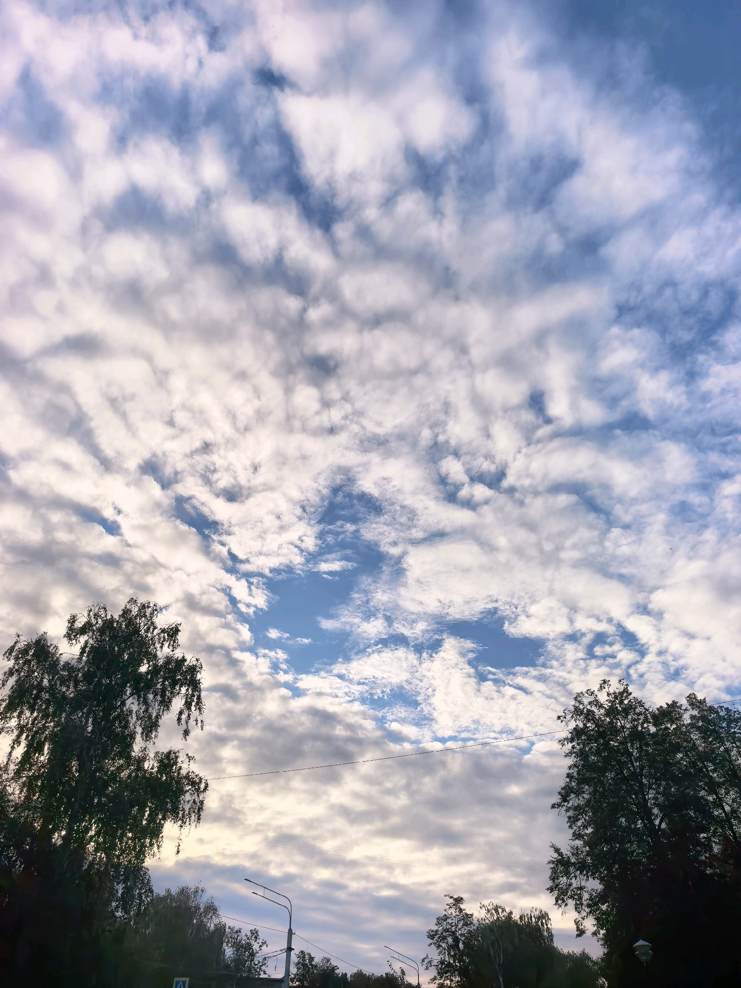 This is a vertical, slightly low-angle shot of a cloudy sky over Sterlitamak, Russia. The sky is a mix of blue and white, with large, fluffy cumulus clouds dominating the frame. The clouds are illuminated by the sun, which is not directly visible, creating a soft, diffused light. In the foreground, silhouetted against the sky, are the tops of several trees, including a large deciduous tree on the left and a smaller one on the right. The branches of the trees are dense with leaves. At the bottom of the image, there is a sliver of what appears to be the top of buildings or structures, along with streetlights and a pedestrian crossing sign. The overall impression is of a calm, overcast day.