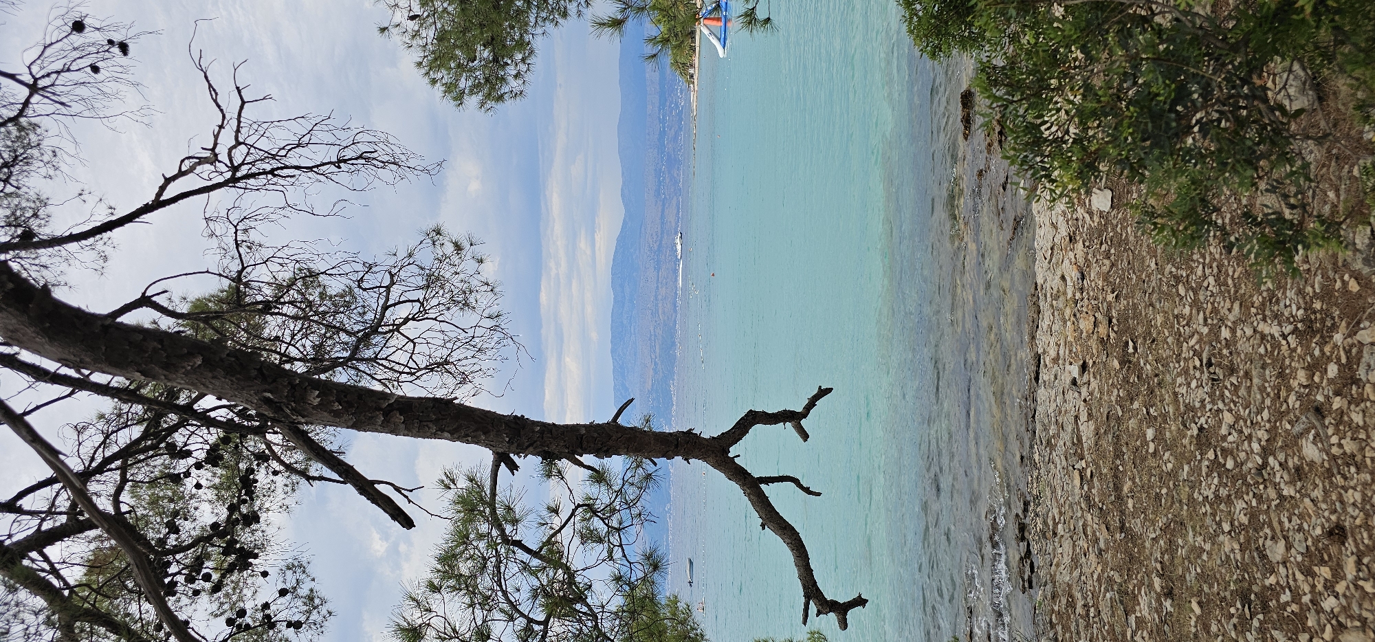 The image depicts a tranquil coastal scene in Grad Supetar, Croatia. In the foreground, a weathered tree trunk with bare branches stretches across the frame, partially obscuring the view of a clear, turquoise sea. The rocky shoreline is visible at the bottom, transitioning into the gentle waves. Further out in the water, a white ferry or boat sails in the distance, and a floating water slide structure is present on the right side of the frame. The background is dominated by a hazy mountain range under a cloudy sky. The scene evokes a sense of peacefulness and natural beauty.