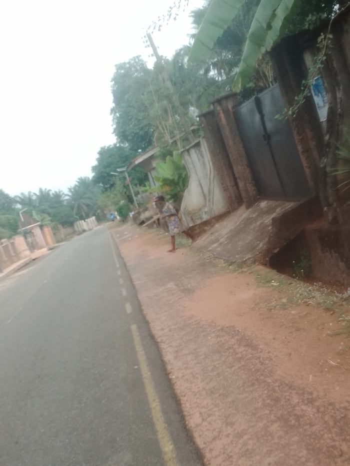 The image displays a tilted street scene in Alor, Nigeria, captured from a slightly elevated perspective, looking down a paved road. The road, composed of dark grey asphalt, features a continuous yellow line on its right edge and dashed white lines indicating lane separation further into the distance. Adjacent to the road, a reddish-brown dirt and gravel shoulder is present, separated by a concrete curb.
On the right side of the scene, a single adult individual is standing barefoot on the dirt shoulder, positioned near a concrete wall. The individual is wearing a patterned garment and appears to be holding a long, slender object vertically with their right hand. Their posture suggests they are observing something down the road, with their body slightly turned to their left.
Behind the individual, a robust concrete wall with a dark metal gate is visible. A large, green banana leaf extends over this wall, and a small poster is affixed to its surface. Below the wall on the far right, a concrete drainage structure is discernable.
The environment is characterized by abundant green vegetation, including tall trees and broad-leafed plants, which line both sides of the street and frame the visible structures. In the background, further down the road on the left, additional buildings with reddish-brown walls are partially visible through the foliage. The sky overhead is uniformly overcast and bright white. No other people, vehicles, or significant actions are visible.