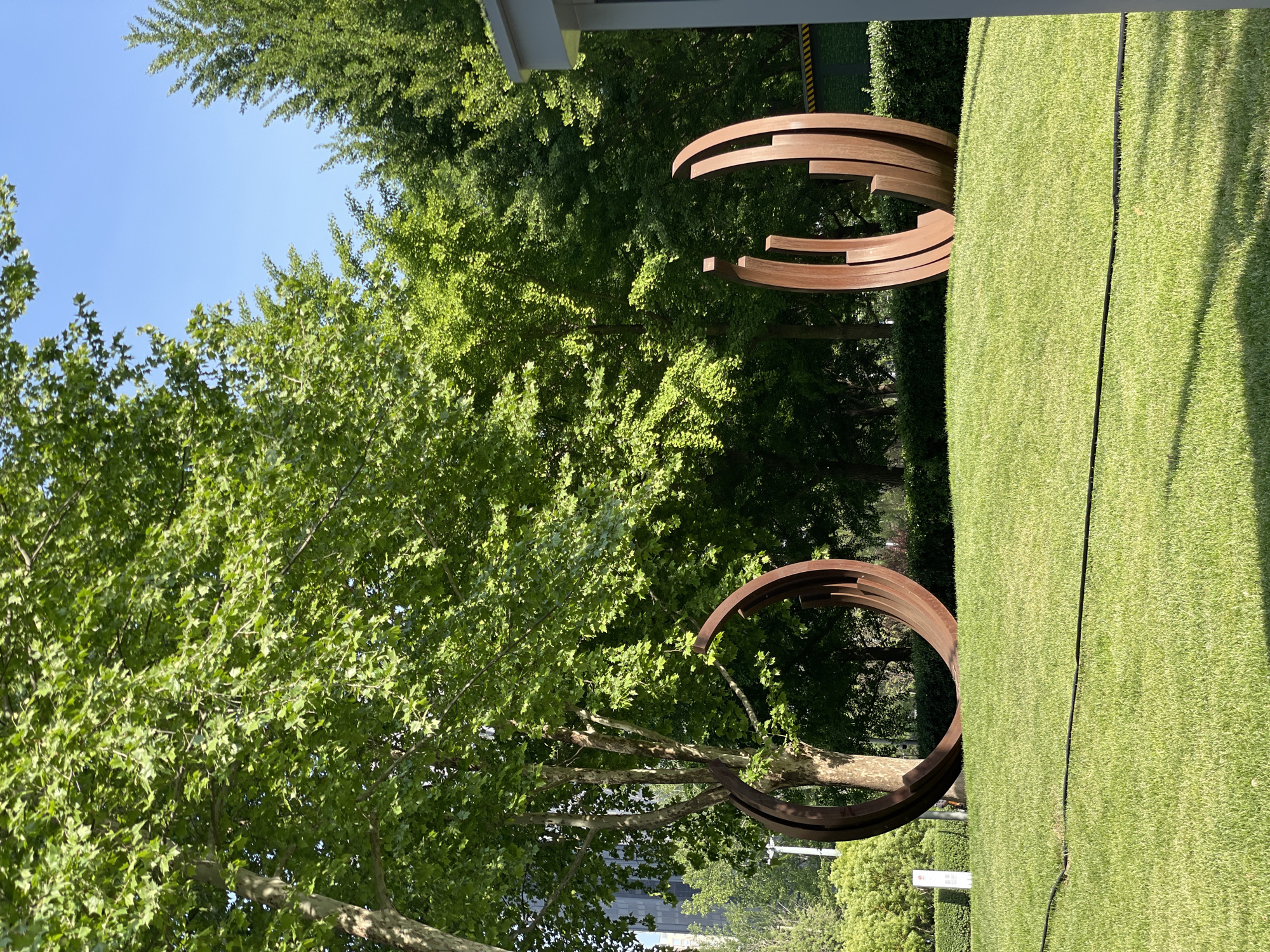 The image depicts an outdoor scene in Chaoyang District, China, featuring two large metal sculptures on a grassy lawn surrounded by trees. One sculpture is composed of several concentric, incomplete circles stacked vertically, while the other consists of a single large, incomplete circle. The grass appears well-maintained and vibrant green. The trees provide a backdrop of dense foliage, partially obscuring the sky, which is visible as a clear blue in the upper left corner of the image. The sculptures are made of a rusty-colored metal, contrasting with the green of the lawn and trees. The scene is captured in bright daylight.