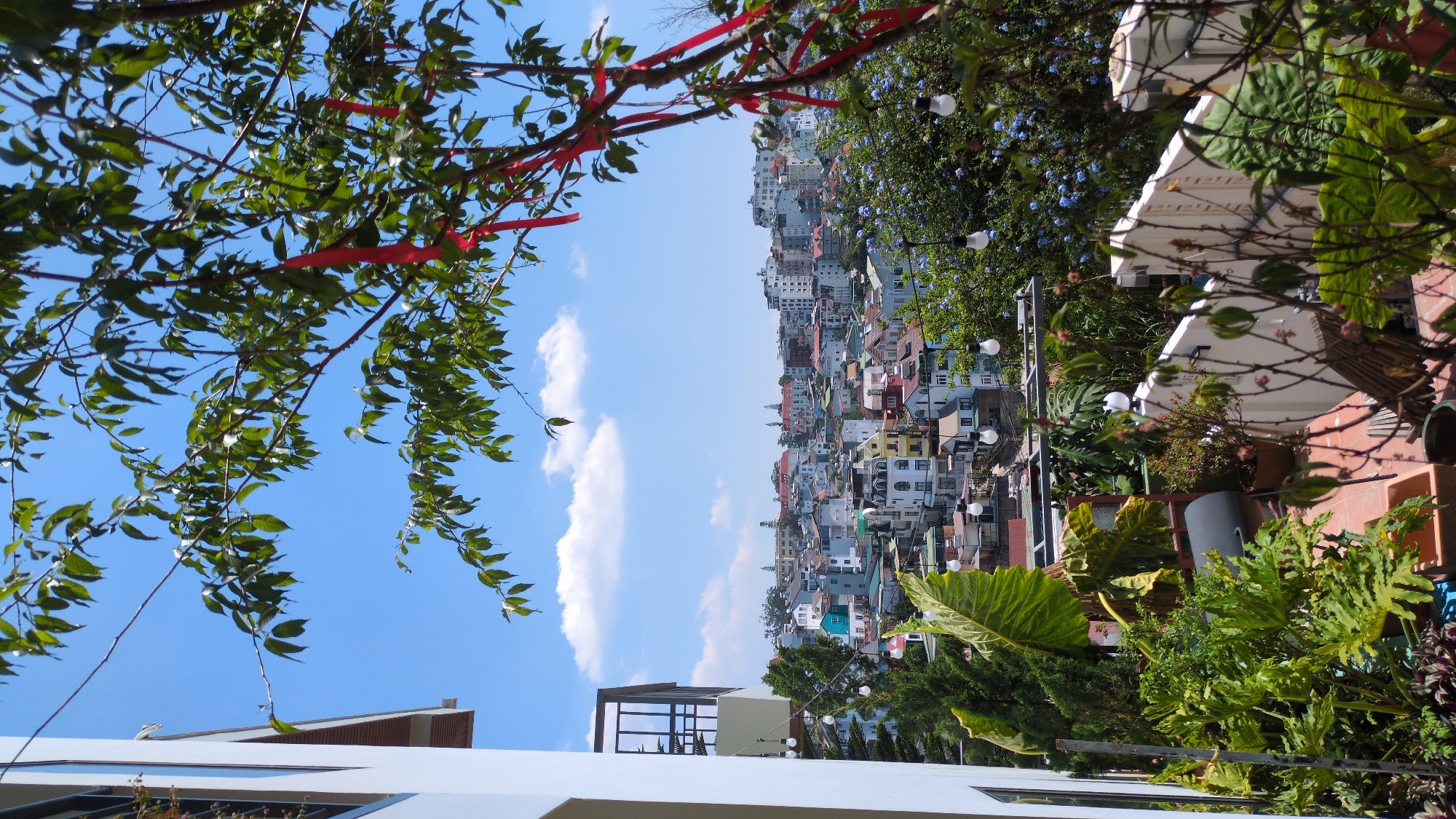 The image shows a view of Da Lat, Vietnam, taken from an elevated position, likely a balcony or rooftop. The foreground includes foliage on both sides, framing a cityscape in the middle. A tree branch with red ribbons on the left contrasts with various potted plants and decorations on the right, including string lights. The cityscape consists of dense clusters of buildings with a mix of architectural styles and colors, primarily white and pastel hues with red-tiled roofs. The sky is blue with scattered clouds. The image appears to be taken during the daytime under bright sunlight.