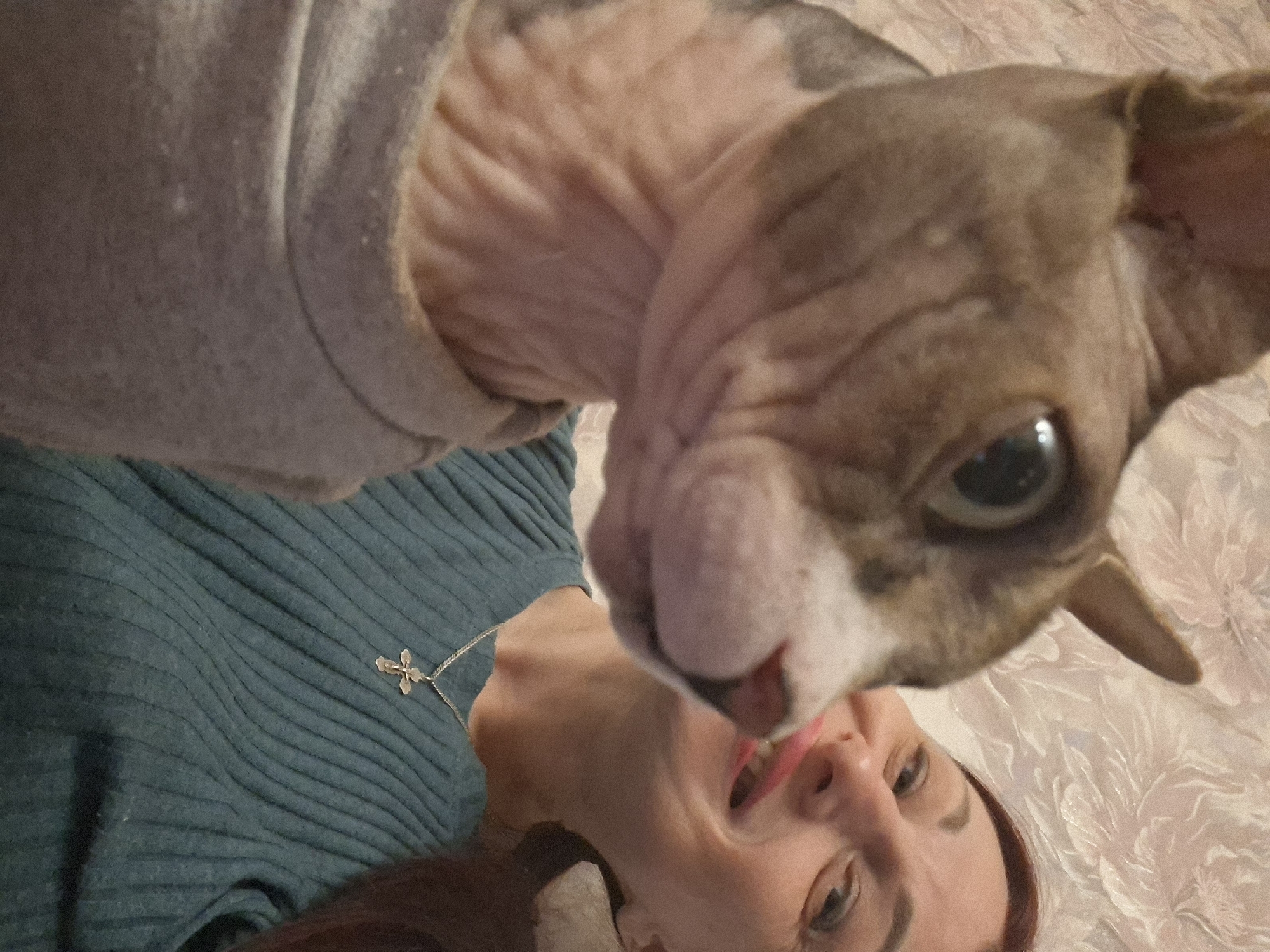 A low-angle shot shows a woman in a teal ribbed top with a silver flower-shaped pendant around her neck, angled to the lower-left. The top half of the image is dominated by a hairless cat, possibly a Sphynx, wearing a gray sweater. The cat's face, with its prominent nose and one visible eye, is close to the camera. The background consists of a floral patterned surface, possibly a bed or a blanket. The location appears to be indoors, though no further details about the location in Забалоцкі сельскі Савет, Belarus can be ascertained from the image.