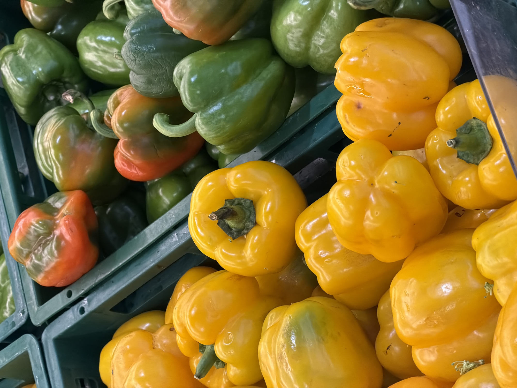 The image shows a close-up, eye-level view of several bell peppers displayed in green plastic crates. The peppers are of various colors, including vibrant yellow, deep green, and some with patches of orange and red, indicating they are at different stages of ripeness. They are plump and appear fresh, with smooth, shiny skin. The lighting is bright and even, typical of a market or grocery store setting. The background is blurred, but the green crates and the arrangement of peppers suggest a retail environment, possibly a grocery store in Baan Bo Phut, Thailand, where produce is commonly sold in such displays. There are no people visible in the image.