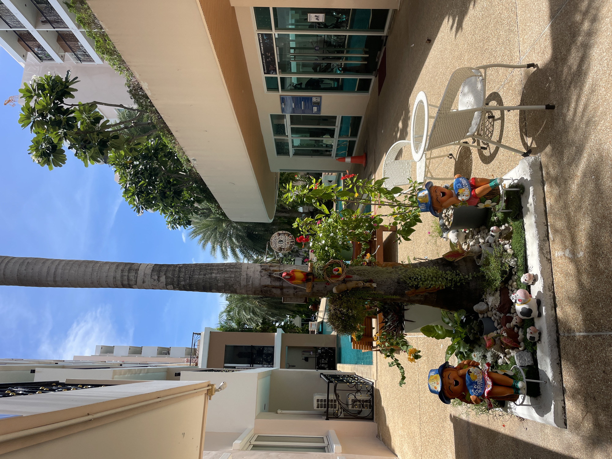 This image depicts a courtyard area, likely within a condominium complex or resort in Pattaya City, Thailand. The scene is brightly lit by natural sunlight under a clear blue sky with scattered white clouds.

In the foreground, a large palm tree stands centrally, adorned with a hanging parrot decoration and a circular sign that reads "GARDEN GOOD MORNING." Around the base of the palm tree, a small garden bed is arranged with various plants, rocks, and decorative figurines, including two cheerful ceramic dolls wearing hats and holding signs that say "Welcome." Several small ceramic animals, resembling cows and pigs, are also scattered in the garden.

To the left of the palm tree, a pale pink building with white trim and balconies is visible. A small portion of a swimming pool with bright turquoise water can be seen between this building and a more modern, beige-colored building to the right. An outdoor air conditioning unit is mounted on the wall of the pink building.

To the right, a single-story building with a beige facade and a curved, cream-colored overhang houses a fitness room, indicated by a sign above the glass doors. The fitness room appears to have exercise equipment visible through the windows. White outdoor chairs and a small circular table are set up in the courtyard, casting shadows on the speckled beige ground. In the background, palm trees and lush green foliage suggest a tropical environment. The overall impression is one of a well-maintained, outdoor recreational space.