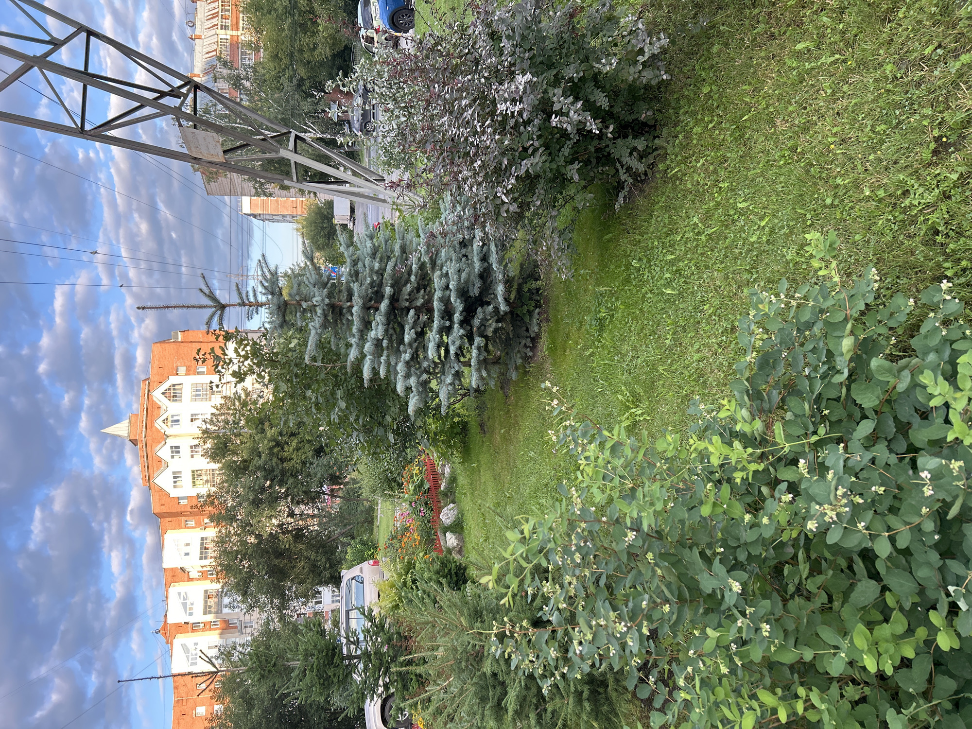 This is a landscape photograph taken in Tomsk, Russia. The foreground features lush green grass with a dense shrub in the lower left corner, showcasing small white flowers and light green leaves. To the right of the shrub is a blue spruce tree, its branches covered in soft, grey-green needles. Behind the blue spruce, a bush with reddish-purple and silver-green leaves is visible.
In the midground, more greenery includes a coniferous tree with dark green needles on the left, and a flowerbed with various colorful flowers, bordered by a low red fence and some rocks. A tan SUV is parked behind the coniferous tree.
The background reveals an urban environment with brick and white apartment buildings featuring red-tiled roofs, characteristic of Russian architecture. A tall, metal power line pylon stands prominently on the right side of the image, with power lines stretching across the sky. The sky is a mix of blue with scattered white and grey clouds. The overall scene depicts a residential area with a mix of natural greenery and urban infrastructure.