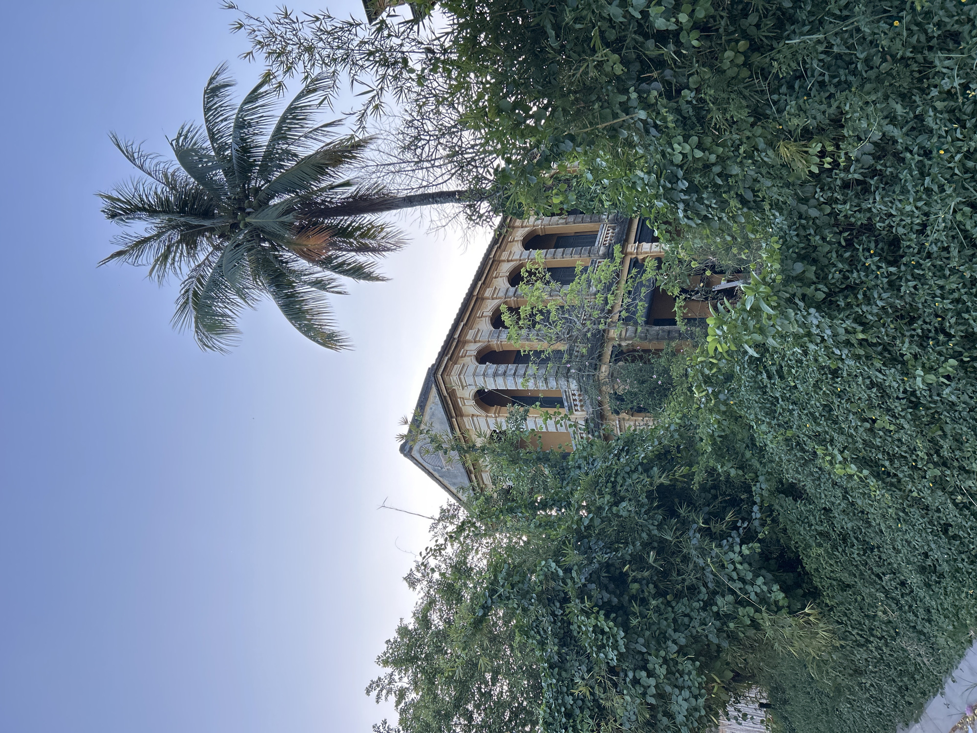 This image captures an old, yellow, two-story building with arched windows, partially obscured by dense, green foliage. A tall palm tree with coconuts stands prominently behind the structure. The scene appears to be set in a tropical or subtropical environment, given the vegetation. The sky is a clear, light blue, suggesting it is daytime. The building's architecture suggests it might be a historical or colonial-era structure. The surrounding greenery includes bamboo and various leafy plants, creating a somewhat overgrown and neglected atmosphere. A small section of a concrete pathway or edge is visible in the lower left corner of the image. This location is specifically Hội An Ward, Vietnam.