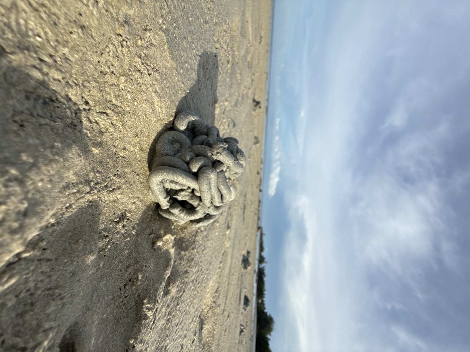 This media file captures a close-up view of a sand sculpture on a sandy beach, with the ocean and sky in the background. The sand sculpture, which appears to be a sand castle or some form of marine invertebrate burrow, is made of coiled sand and is the primary subject in the foreground. The beach itself is sandy, with visible footprints and texture.
In the background, the ocean stretches out to the horizon under a sky filled with scattered clouds. The lighting suggests it is either early morning or late afternoon, with soft, warm light illuminating the sand. The water appears calm, and the sky has a mix of blue and white clouds, indicating fair weather. The overall scene evokes a sense of tranquility and natural beauty.
There is no visible text in the media file. The location context of Baan Harn, Thailand, suggests a tropical or subtropical beach setting. The focus on the sand sculpture and the natural elements of the beach creates a peaceful and contemplative mood.