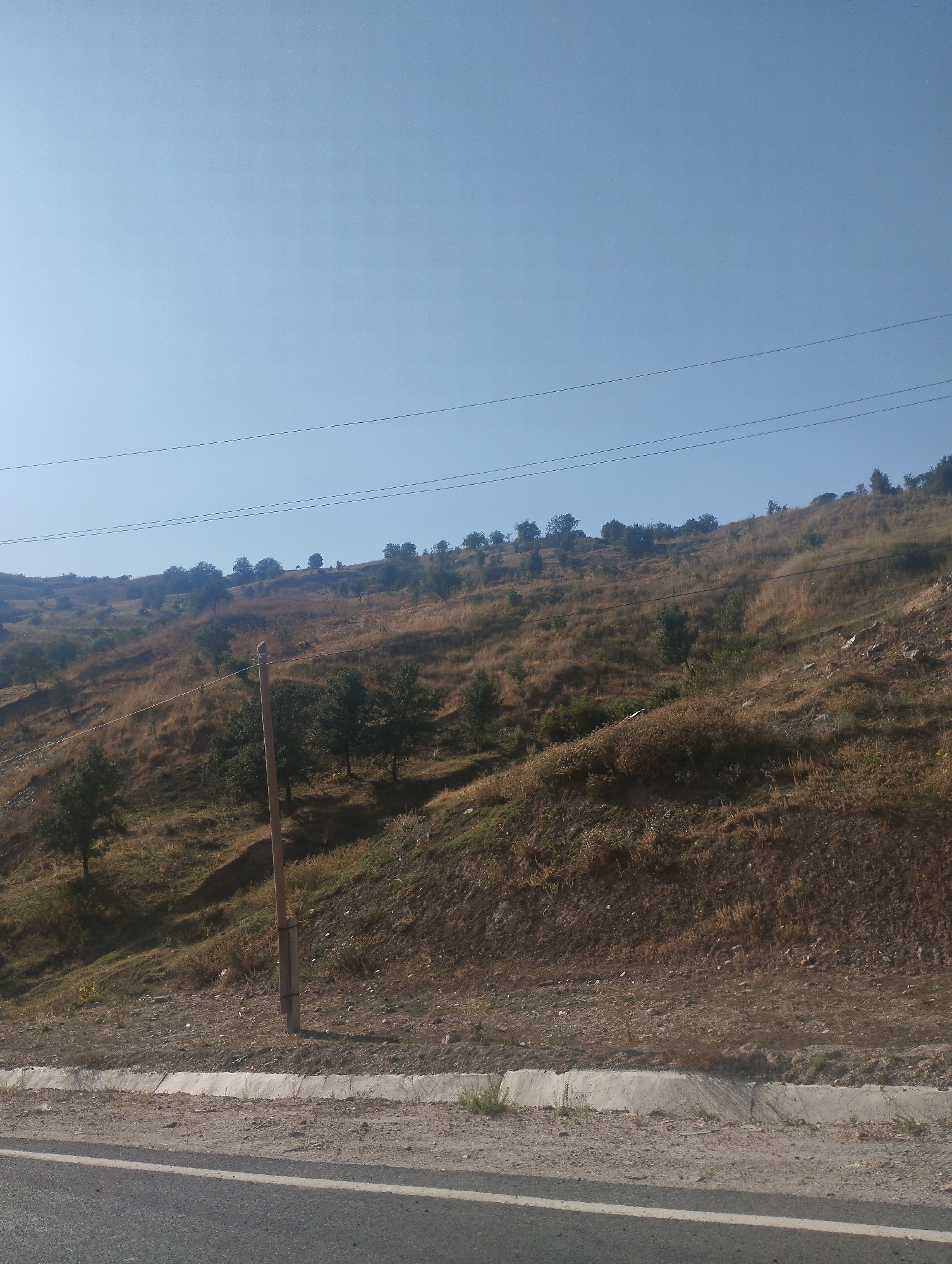 The image depicts a dry, grassy hillside with sparse trees, characteristic of the arid landscape found in and around Mujikharv, Tajikistan. A clear blue sky dominates the upper portion of the frame, with power lines strung across it. The hillside itself is covered in dry, brown vegetation, with scattered green trees and bushes. A rough, dirt road or path is visible in the foreground, with a concrete curb separating it from the hillside. A wooden utility pole stands on the hillside, with wires attached to it. The overall scene suggests a rural or semi-rural area, possibly on the outskirts of Mujikharv. There are no people or animals visible in the image.