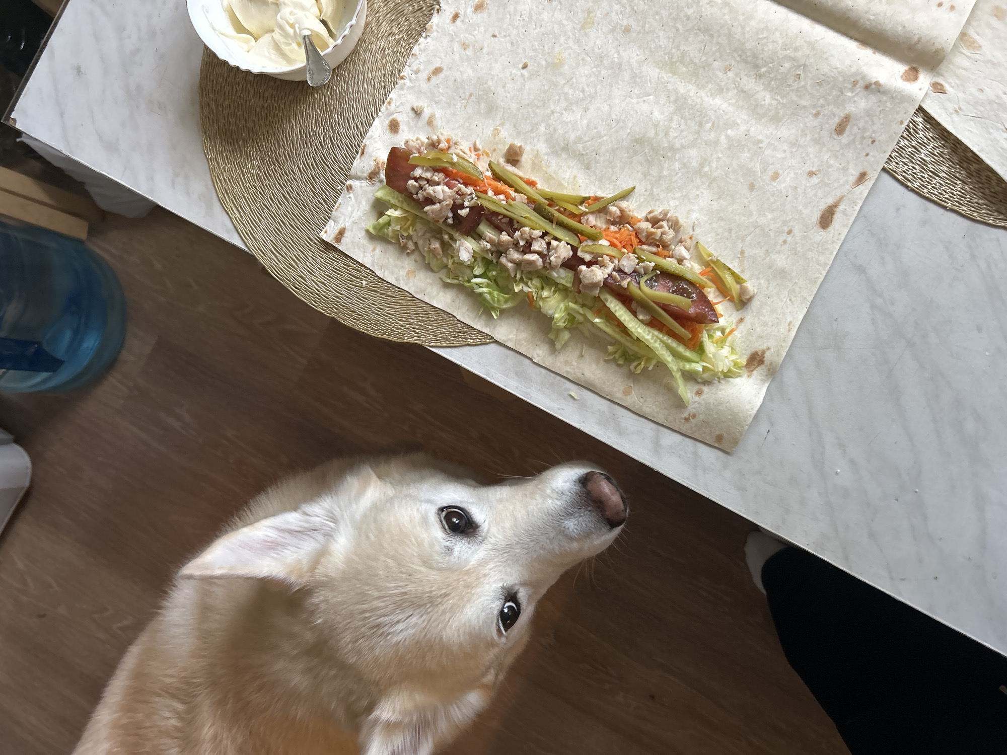 A dog looks up from a wooden floor towards a table where a tortilla is being prepared with various ingredients. The tortilla is filled with shredded lettuce, what appears to be finely chopped chicken, shredded carrots, sliced cucumbers, and possibly a sausage or hot dog. A small white bowl containing a creamy white substance, likely mayonnaise or sour cream, is also visible on the table, along with a spoon. The table has a marble-like surface and is covered with a woven placemat. In the background, a large blue water bottle is partially visible. The scene appears to be indoors, likely a kitchen or dining area, given the table and flooring. The dog's gaze is directed upwards, suggesting it is anticipating or observing the food preparation. The lighting suggests it might be daytime, but no strong indicators of specific time of day are present. No visible text is present in the image. The overall mood seems relaxed, with the dog showing curiosity and mild anticipation. The location is identified as Khimki, Russia, but this is not visually evident from the image itself.