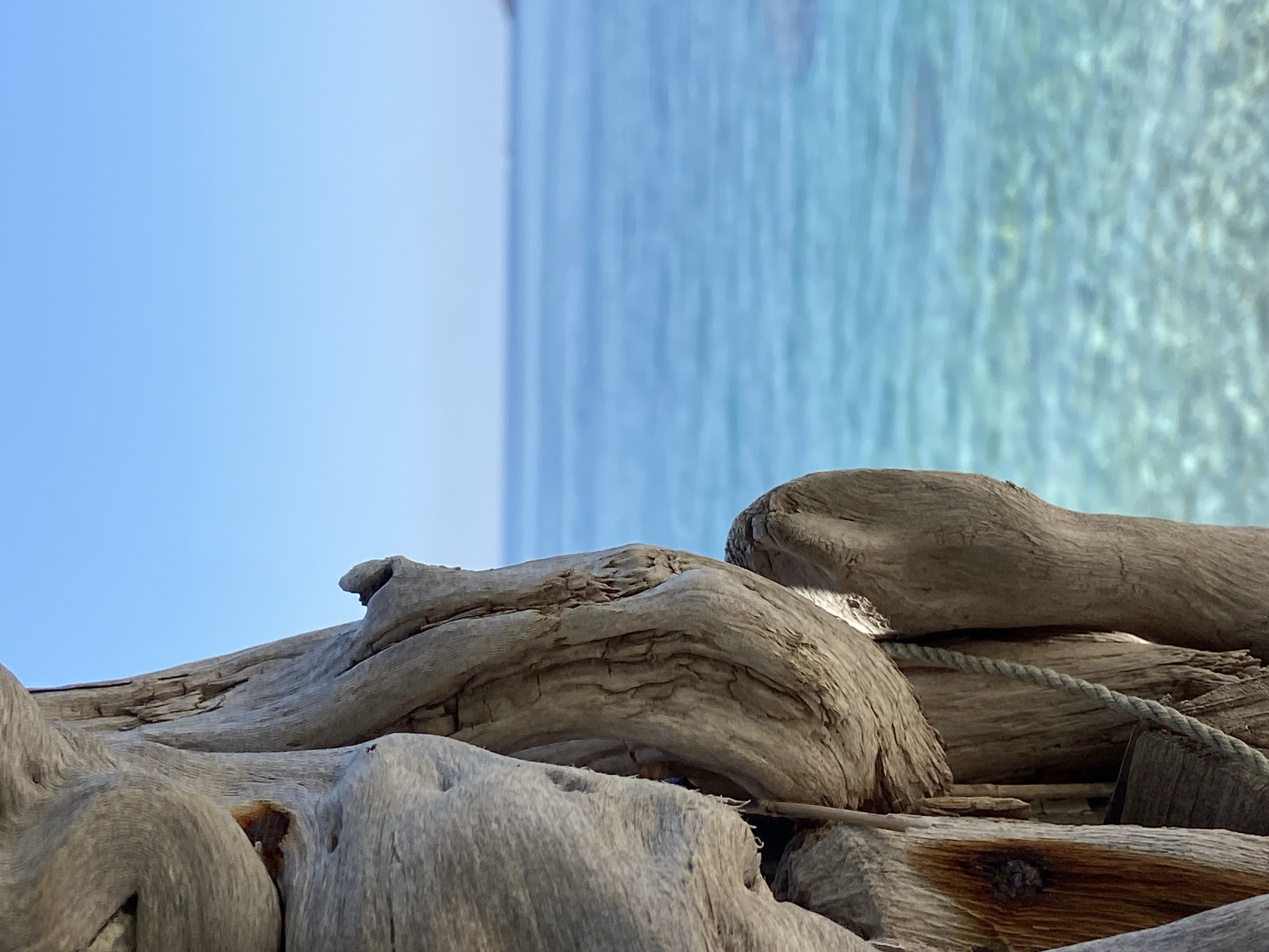 The image is a close-up, shallow depth of field shot of weathered, textured wood in the foreground, with a blurred turquoise sea and a clear blue sky in the background. The wood appears to be driftwood, with prominent grain patterns, knots, and rough surfaces. A thin rope is visible, draped over one of the wooden elements. The sea is calm with visible pebbles beneath the surface near the shore, and a distant landmass or island is faintly visible on the horizon. The sky is a gradient of light blue. The image does not depict the city of Prijevor, Montenegro, but rather a natural coastal scene.