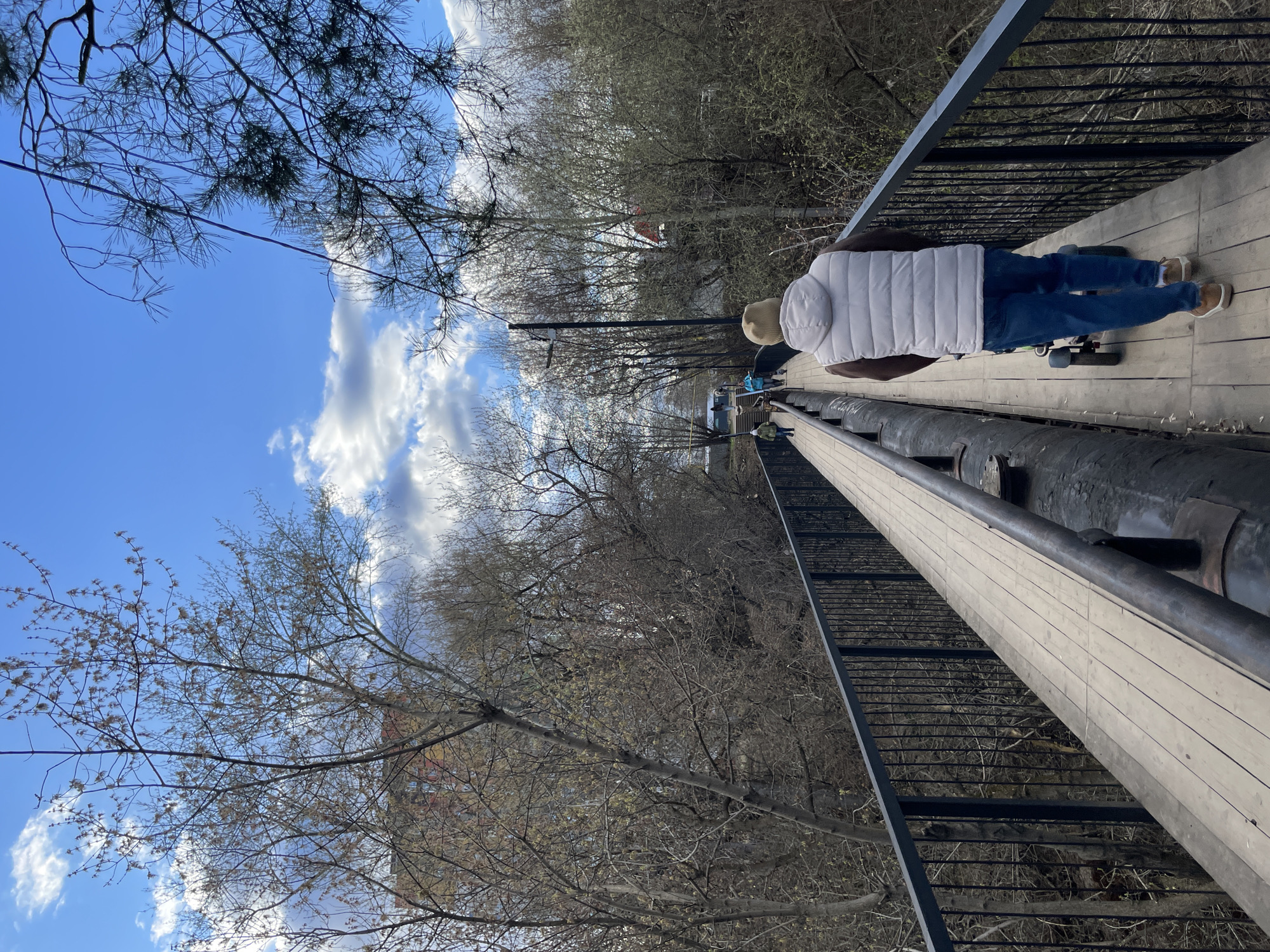 The image presents a vertical-oriented view along a pedestrian bridge in Izhevsk, Russia, on a clear, partly cloudy day. The bridge features a light-colored wooden plank walkway with dark metal railings on both sides. Along the left edge of the walkway, several large, dark-colored pipes run parallel to the path.
In the immediate foreground, a person is seen from behind, wearing a light-colored puffer vest, blue jeans, and light brown shoes. They have a light-colored beanie on their head. A skateboard rests on the wooden planks near their feet. Further down the bridge, more people are visible, walking or standing, indicating a shared pathway.
The surrounding landscape is dominated by numerous trees with mostly bare branches, suggesting either early spring with budding foliage or late autumn/winter. The sky is a vibrant blue, dotted with scattered white, cumulus clouds. Some trees in the upper left foreground have sparse, thin needles, possibly from a coniferous species, while others are deciduous. The overall setting appears to be a natural or park-like area, possibly a ravine or river crossing. No visible text is present in the image. The scene conveys a calm, daytime atmosphere with casual pedestrian activity.