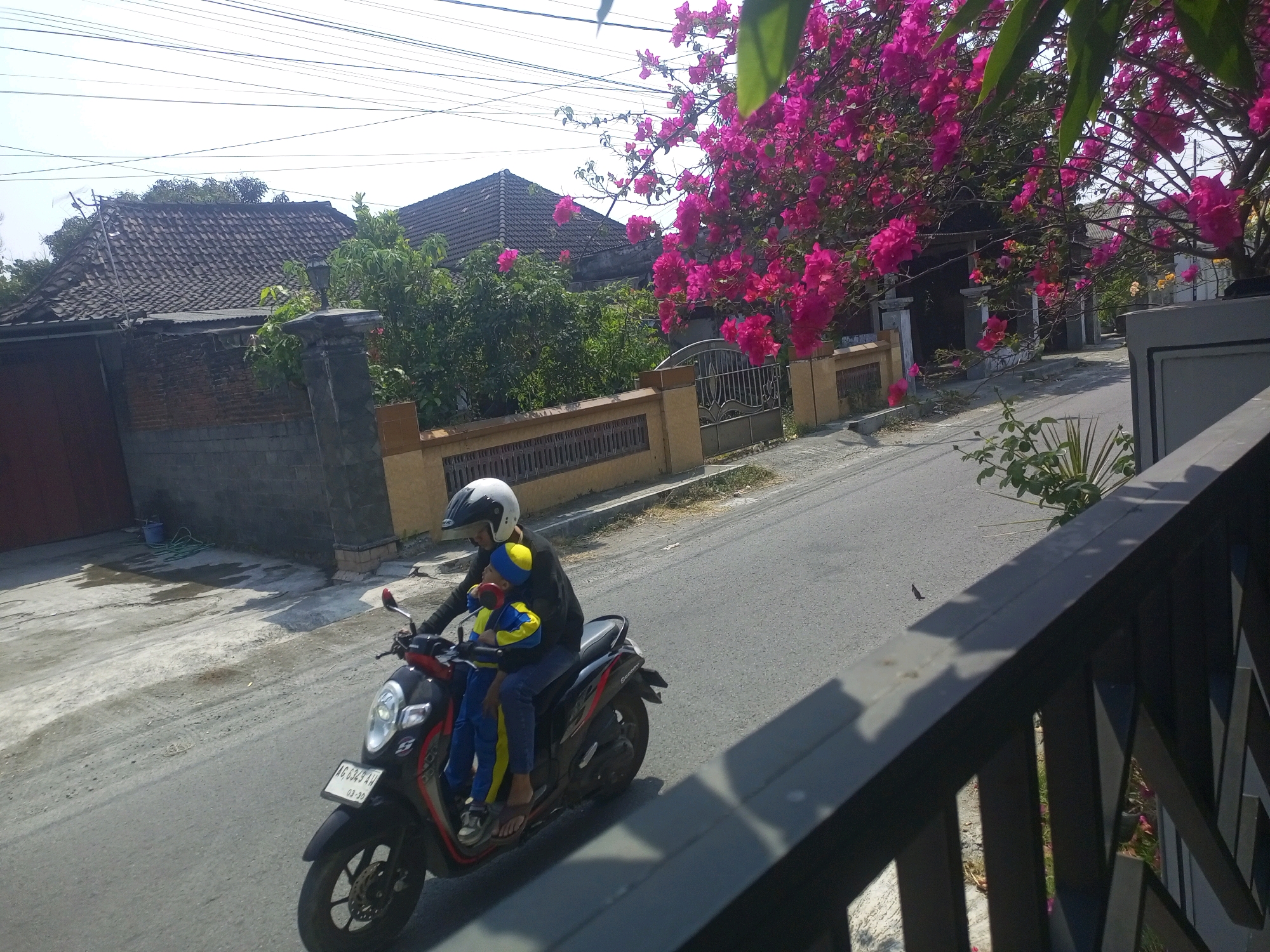 In the city of Ngasem, Indonesia, a person wearing a white helmet and a black long-sleeved shirt is riding a black and red scooter. A child wearing a yellow and blue outfit and a blue beanie is sitting in front of the rider. They are both on a paved road with a fence and houses in the background. A tree with vibrant pink flowers is in bloom on the right side of the image, casting shadows on the road. The sky is clear and bright.