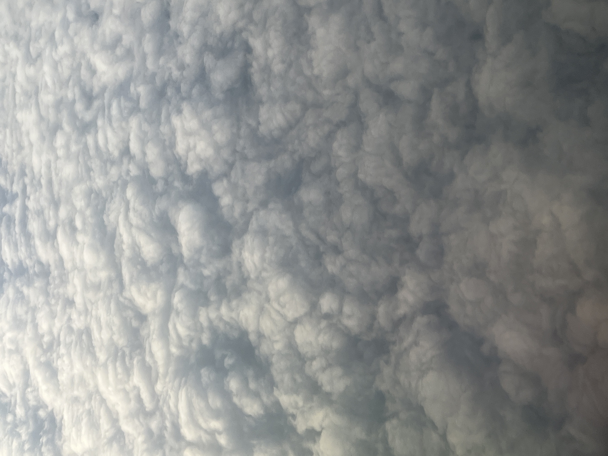 This is an aerial photograph of a dense, overcast sky filled with cumulonimbus clouds. The clouds appear as a uniform blanket of white and gray, obscuring any view of the ground. The lighting suggests it is daytime, with diffuse sunlight filtering through the clouds. The image is devoid of any visible human presence, structures, or identifiable landmarks. The perspective is looking down from a high altitude, implying the photograph was taken from an aircraft. There are no discernible objects or actions taking place within the image, as the scene is solely composed of atmospheric phenomena. The location of Stolbishche, Russia, is not visually represented in this abstract depiction of cloud cover.