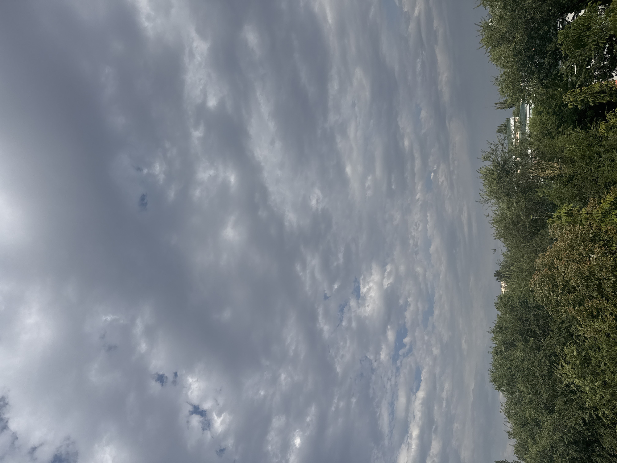 The image depicts a cloudy sky over a dense line of trees. Buildings are visible peeking through the foliage in the distance. The clouds are a mix of dark grey and lighter shades, with patches of blue sky visible in between. The trees are lush and green, suggesting a warm season. The overall impression is a natural landscape within an urban setting.