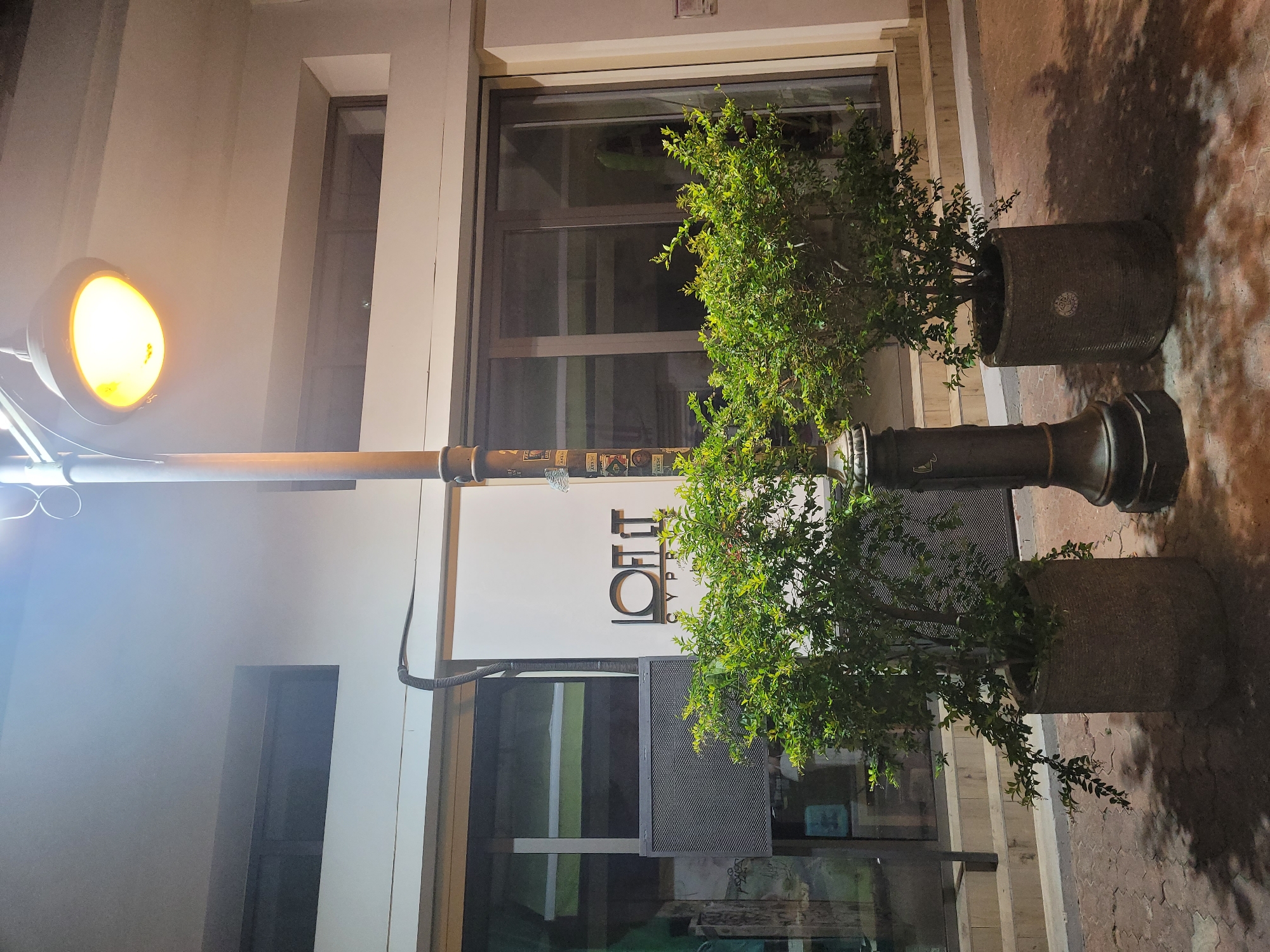 A street lamp with a warm, orange light illuminates a building facade at night. Two potted green bushes flank the base of the street lamp. The building has large glass windows and a white wall with the black lettering "LOFT" and "CYPR" visible. A corrugated tube runs vertically down the wall near the bushes. The ground is paved with interlocking bricks and cast shadows. The scene appears to be in Limassol, Cyprus.