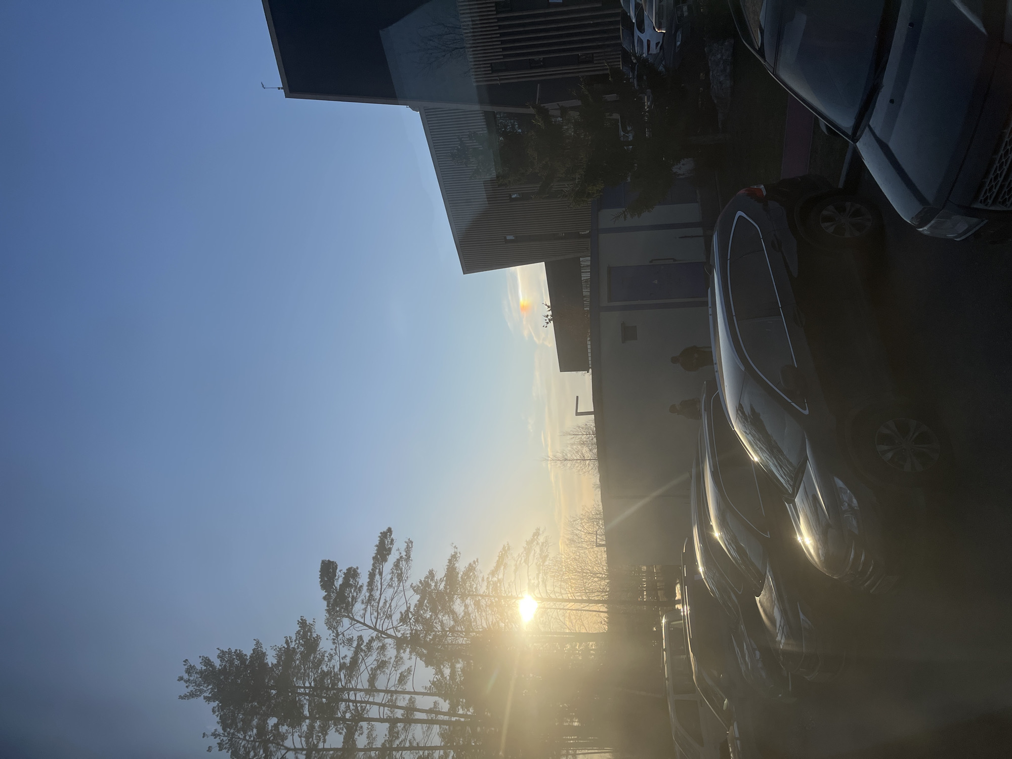 The image shows an outdoor scene in Zhavoronki, Russia, likely taken in a parking area near a building. The picture is oriented vertically. The sun is positioned low in the sky, creating a bright glare and long shadows. Silhouetted trees are visible against the bright sky. To the right, several cars are parked, with the reflections of sunlight visible on their surfaces. A multi-story building with a modern design can be seen in the upper-center of the image. A person appears silhouetted near the building. The sky is clear and blue.