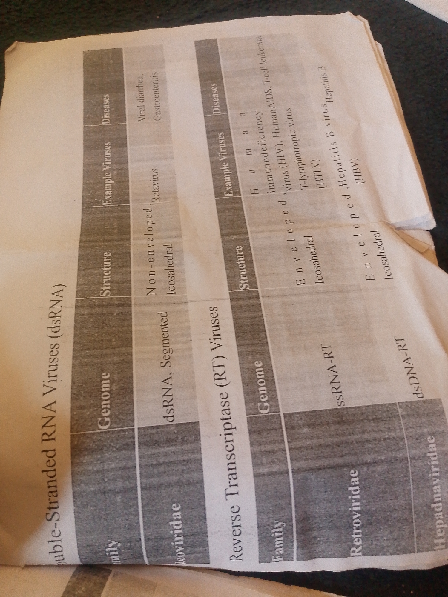 The image displays a cropped view of a document, likely a textbook page, laid flat on a dark, textured surface. The document contains a table with rows and columns detailing different types of viruses. The table headers and entries are predominantly in English and are presented in a vertical orientation due to the angle of the photograph. The main subject is the information contained within the document, which appears to be scientific or educational in nature, focusing on virology.
Visible text includes headings such as "Double-Stranded RNA Viruses (dsRNA)", "Genome", "Structure", "Example Viruses", and "Diseases". Specific virus families like "Reoviridae", "Retroviridae", and "Hepadnaviridae" are listed. Examples of viruses and associated diseases like "Rotavirus", "Viral diarrhea", "Gastroenteritis", "HIV", "Human AIDS", "T-cell leukemia", and "Hepatitis B virus" are also legible. The table categorizes viruses based on their genome type (dsRNA, ssRNA-RT, dsDNA-RT) and structure (non-enveloped, enveloped, icosahedral).
The lighting suggests an indoor setting, possibly with artificial light, as there are no clear indicators of natural light conditions like time of day or weather. The dark, slightly fuzzy background hints at the document being placed on a floor or a dark table in a dimly lit environment. There are no people, animals, or specific location cues that would tie it to Jalingo, Nigeria, other than the provided context. The overall scene is static, focusing on the printed information. The photograph's composition and focus are on the document itself, with the edges of the paper and the surrounding surface visible.