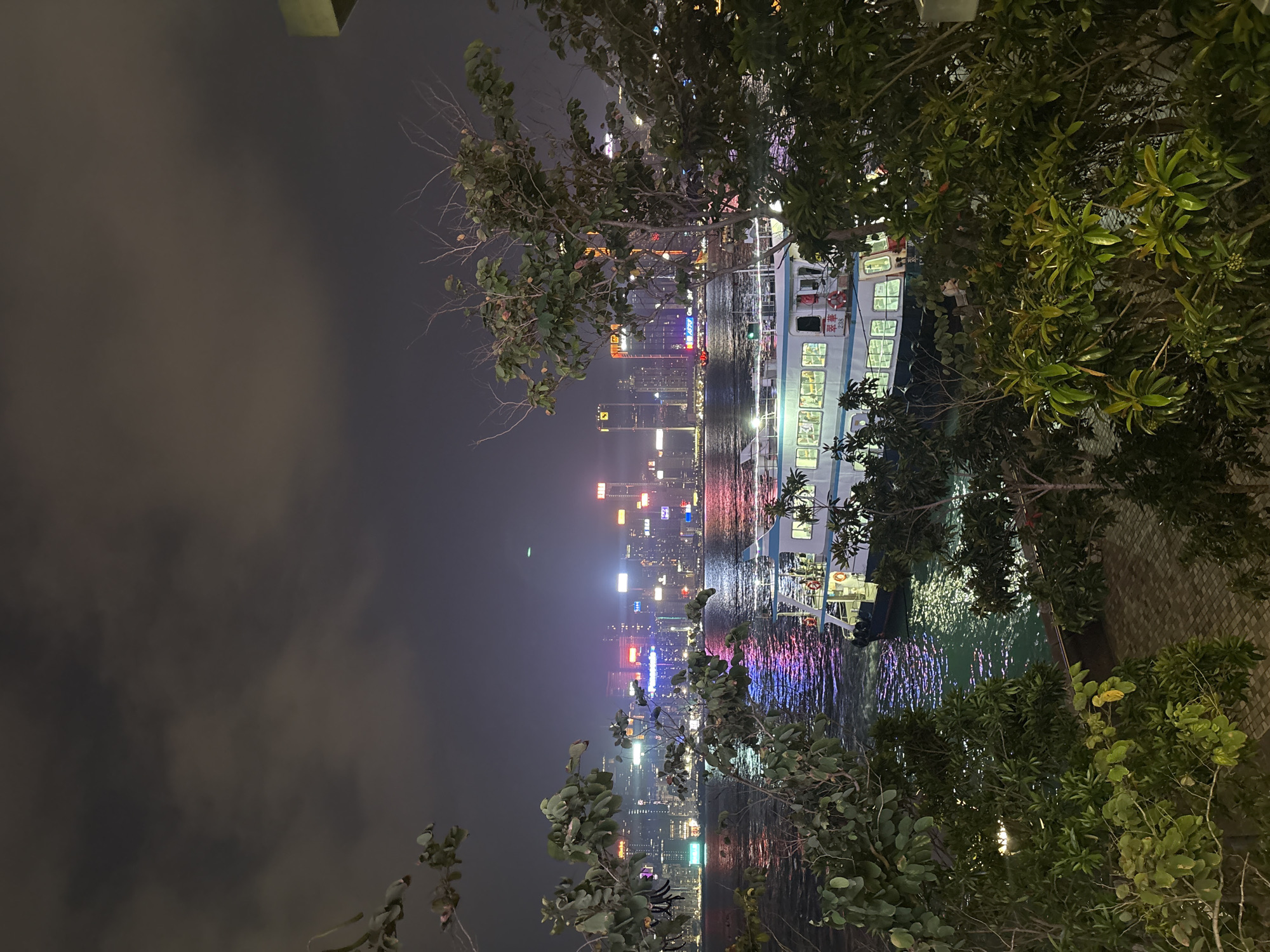 The image captures a nighttime scene in Hong Kong, China. The photograph is oriented vertically. The skyline is visible with several buildings, lit up with colorful neon signs, reflecting in the water. A boat, with lights on, is on the right side of the picture. Bushes and trees are in the foreground. The sky is dark and cloudy.