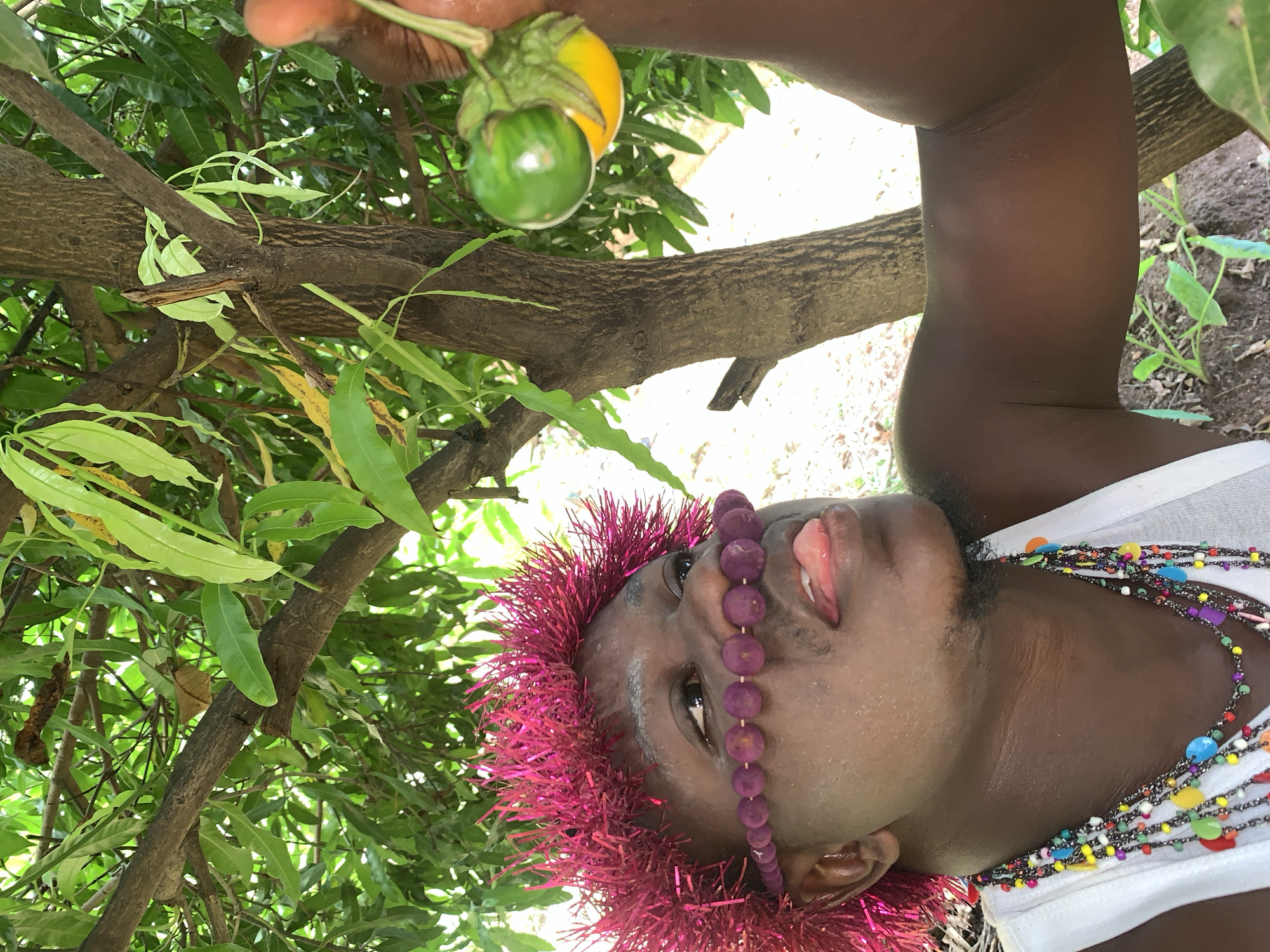 In Akwanga, Nigeria, a person with dark skin and a vibrant pink, spiky headpiece is shown in an outdoor setting, likely a garden or orchard. They are wearing a white tank top and a multi-colored beaded necklace. A beaded string accessory is draped across their nose and mouth, and their tongue is sticking out playfully. The individual is reaching for a small, round, striped vegetable, green and yellow in color, hanging from a tree branch. Lush green foliage from the tree surrounds them, with dirt and small plants visible on the ground. The sunlight filters through the leaves, creating a natural and vibrant atmosphere.