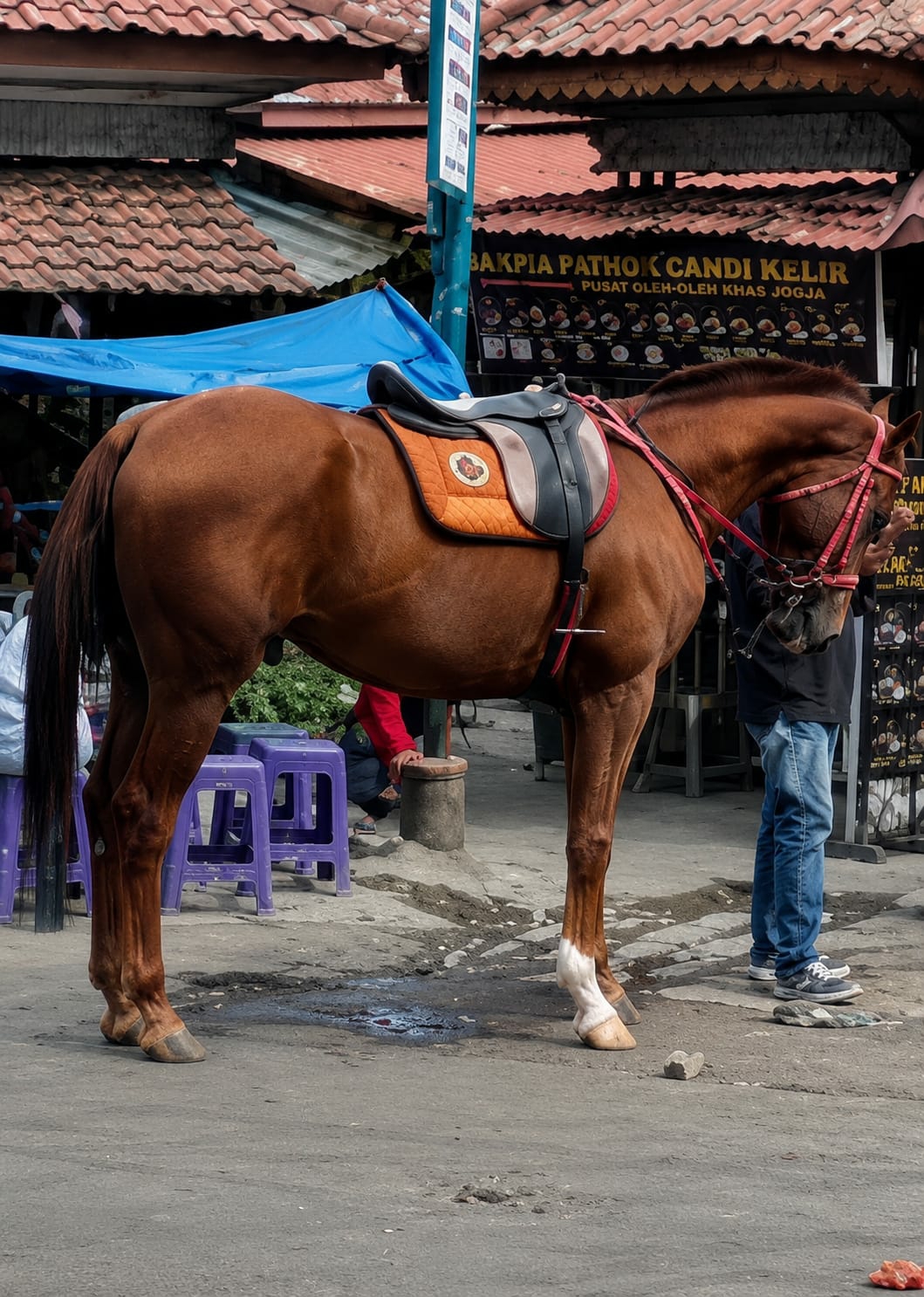 An outdoor, eye-level, medium shot captures a brown horse standing on a paved surface, facing right in profile. The horse is equipped with a saddle and bridle, and its forelegs are white. In the background, several people are visible, one wearing blue jeans and standing near the horse's head. Buildings with red tile roofs and a blue tarp are also present. A sign with Indonesian text, "BAKPIA PATHOK CANDI KELIR PUSAT OLEH-OLEH KHAS JOGJA," is prominently displayed. The scene appears to be a street or market in Berastagi, Indonesia, a popular tourist destination known for its horse-drawn carriage rides.