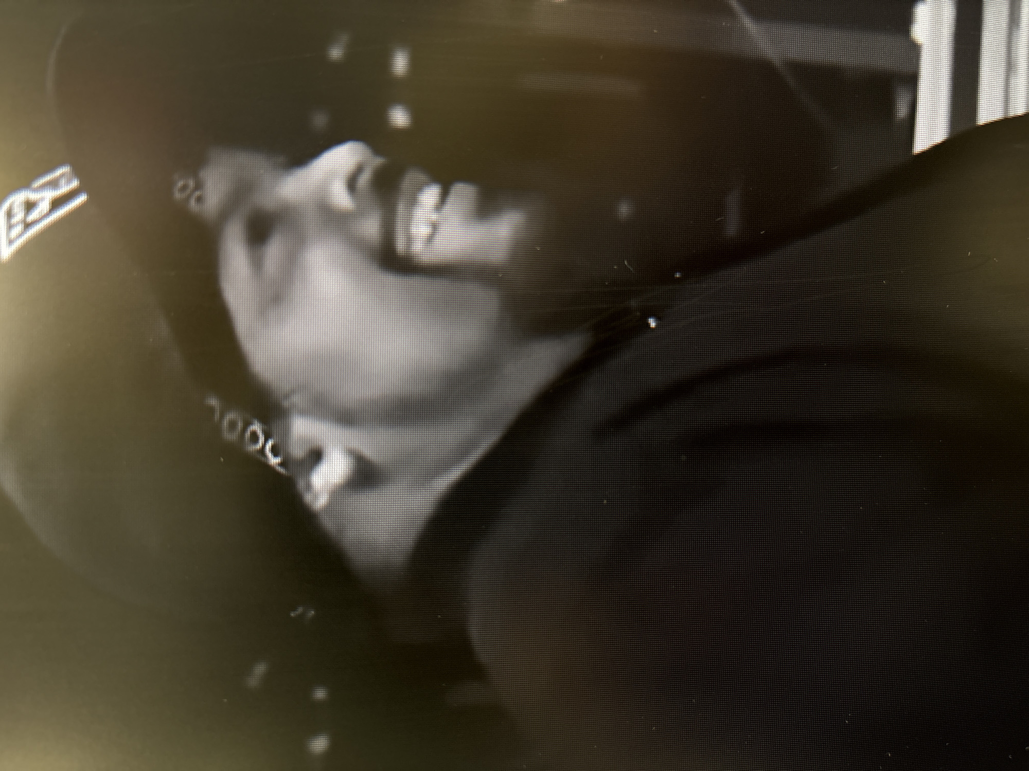 The image is a close-up, black and white, low-resolution photograph of a person wearing a baseball cap. The person is facing to the right and smiling, showing their teeth. The cap has a logo on the front that appears to be the letters "P" and "R" intertwined. There are also decorative elements on the cap above the person's forehead that resemble rivets. The background is dark and out of focus, with some blurry lights visible. The overall impression is of a candid snapshot. The image does not contain any information that would allow for the identification of the location in Sofia, Bulgaria.