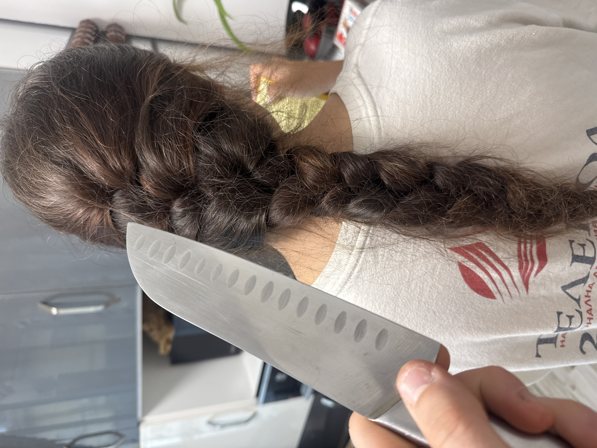 An overhead, slightly angled shot shows the back of a person with long, dark brown hair styled in a thick braid, indoors in what appears to be a kitchen. The person is wearing a white t-shirt. A hand, likely belonging to a different individual, holds a large silver chef's knife with a Granton edge (oval indentations along the blade), positioning it near the person's braided hair.
The setting includes grey kitchen cabinets or drawers visible in the blurred background. The activity depicted seems to be a posed or staged moment, with the knife held close to the hair, but not actively cutting. The lighting is bright and even, suggesting it is daytime.
Notable details include the intricate braid of the person's hair and the sharp, clean appearance of the knife. On the white t-shirt, a red logo resembling stylized wings or leaves is visible, along with Cyrillic text below it. Part of the text reads "НА ЛЕНА АЛ...", with the letters "ЛЕА" clearly distinguishable. The Cyrillic text is consistent with the location context of Shumen, Bulgaria. No emotions are discernible as the person's face is not visible.