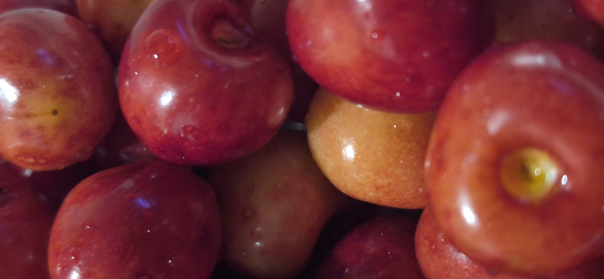 The image is a close-up, vertically oriented shot of a pile of red and orange fruits, likely cherries or plums. The fruits are plump and shiny, with some appearing to have water droplets on their surface, indicating freshness or recent washing. The lighting creates bright highlights on the fruits, emphasizing their smooth texture. The arrangement is dense, with many fruits overlapping, creating a shallow depth of field where some fruits are in sharp focus while others are blurred. The color palette is dominated by rich reds and vibrant oranges, with some darker, blurred areas suggesting a background or additional fruits out of focus. There are no discernible environmental elements such as buildings, natural landscapes, or urban features. The image does not depict any people or actions. The location in Kryvyi Rih, Ukraine, is not visually represented within the image itself.
