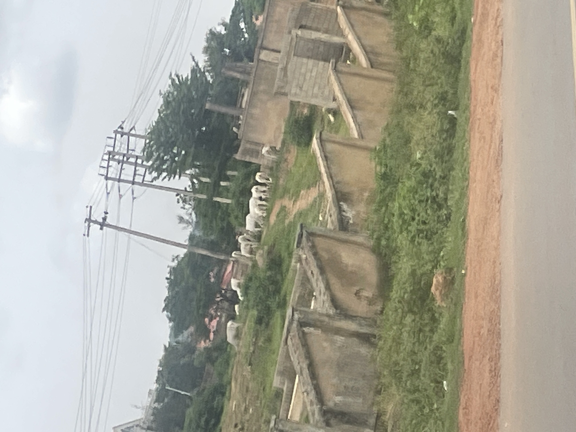 This is a medium shot of a rural scene with a group of white sheep grazing on a grassy slope. In the foreground, there are partially constructed concrete structures, resembling building foundations or walls. The structures are weathered and incomplete. Behind the sheep, there are more trees and vegetation. Power lines and utility poles are visible in the background, stretching across the sky, which is overcast and appears to be either cloudy or hazy. The ground in the immediate foreground is a reddish-brown dirt road or pathway. The overall setting suggests a developing or partially abandoned area in Rafin Par, Nigeria.
