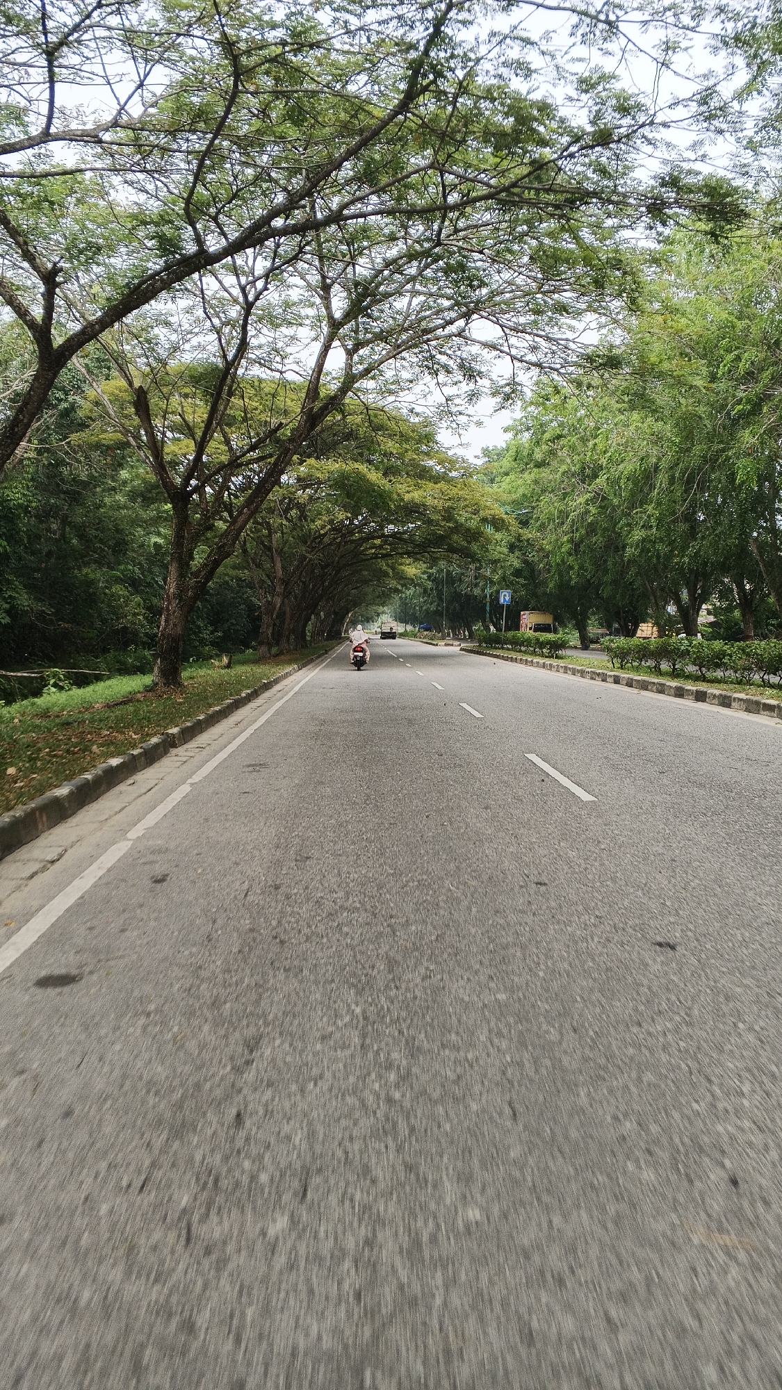 The image depicts a road in Kampung Rempak, Indonesia, lined with mature trees that form a natural archway over the asphalt. The road is paved and features white lane markings. On the left side of the road, there is a grassy verge and a concrete curb. On the right, there are more trees and some manicured bushes. A single person is riding a white scooter in the right lane, moving away from the camera. In the distance, other vehicles are visible, and there appears to be some signage on the right side of the road. The sky is overcast. The perspective suggests the photo was taken from a moving vehicle.