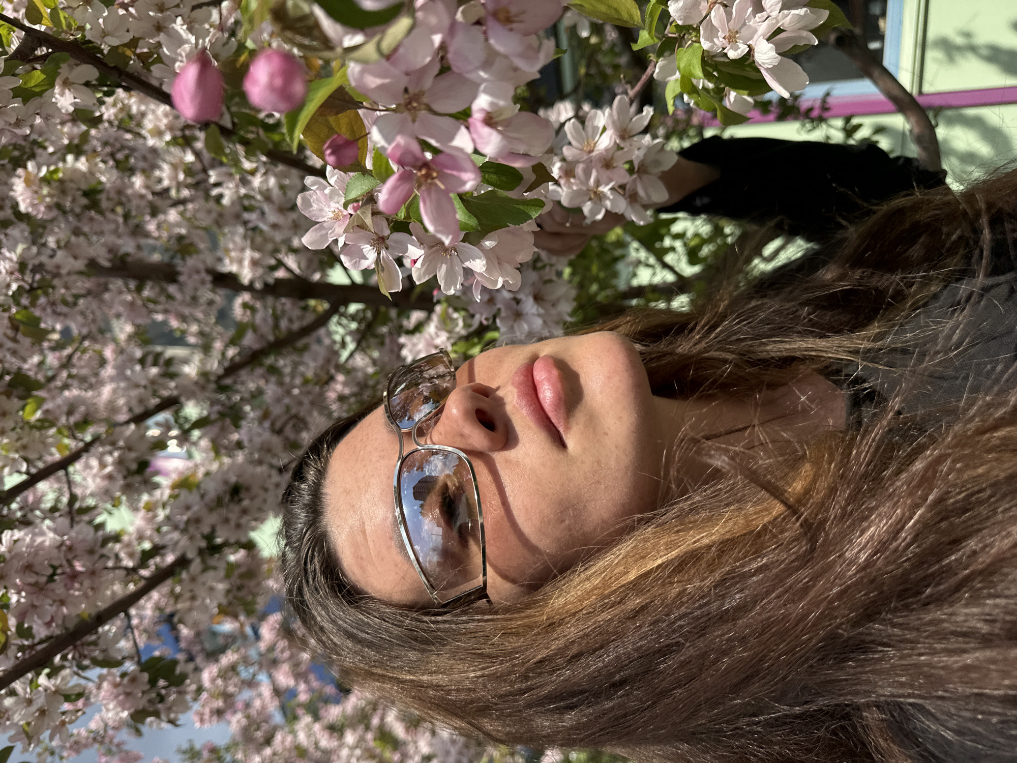 A woman with brown hair lies near a flowering tree, wearing sunglasses that reflect a building. The location is Krasnoyarsk, Russia, indicated by the reflection of a recognizable building in the sunglasses. The scene includes a person, blossoming branches, and urban architecture. The woman appears relaxed under the tree.