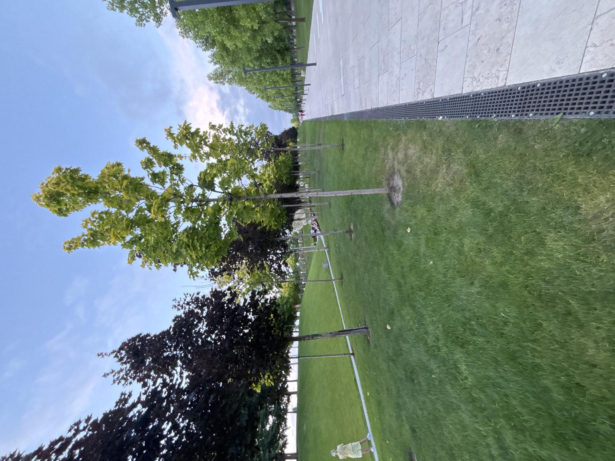 The image depicts a park area in Krasnodar, Russia, on a day with a partly cloudy sky. The scene is dominated by a manicured lawn on the left, with a paved walkway on the right. A line of young trees, some with dark foliage and others with bright green leaves, are planted along the edge of the lawn, bordering the walkway. The walkway is made of large, light-colored square tiles and features a dark metal drainage grate along its left edge. In the background, more trees and a grassy slope are visible. A person, appearing to be a young woman wearing a yellow top and shorts, stands on the lawn near the bottom left of the image, facing away from the camera and towards the slope. Further down the walkway, several other people can be seen walking in the distance. The overall impression is one of a well-maintained public park.