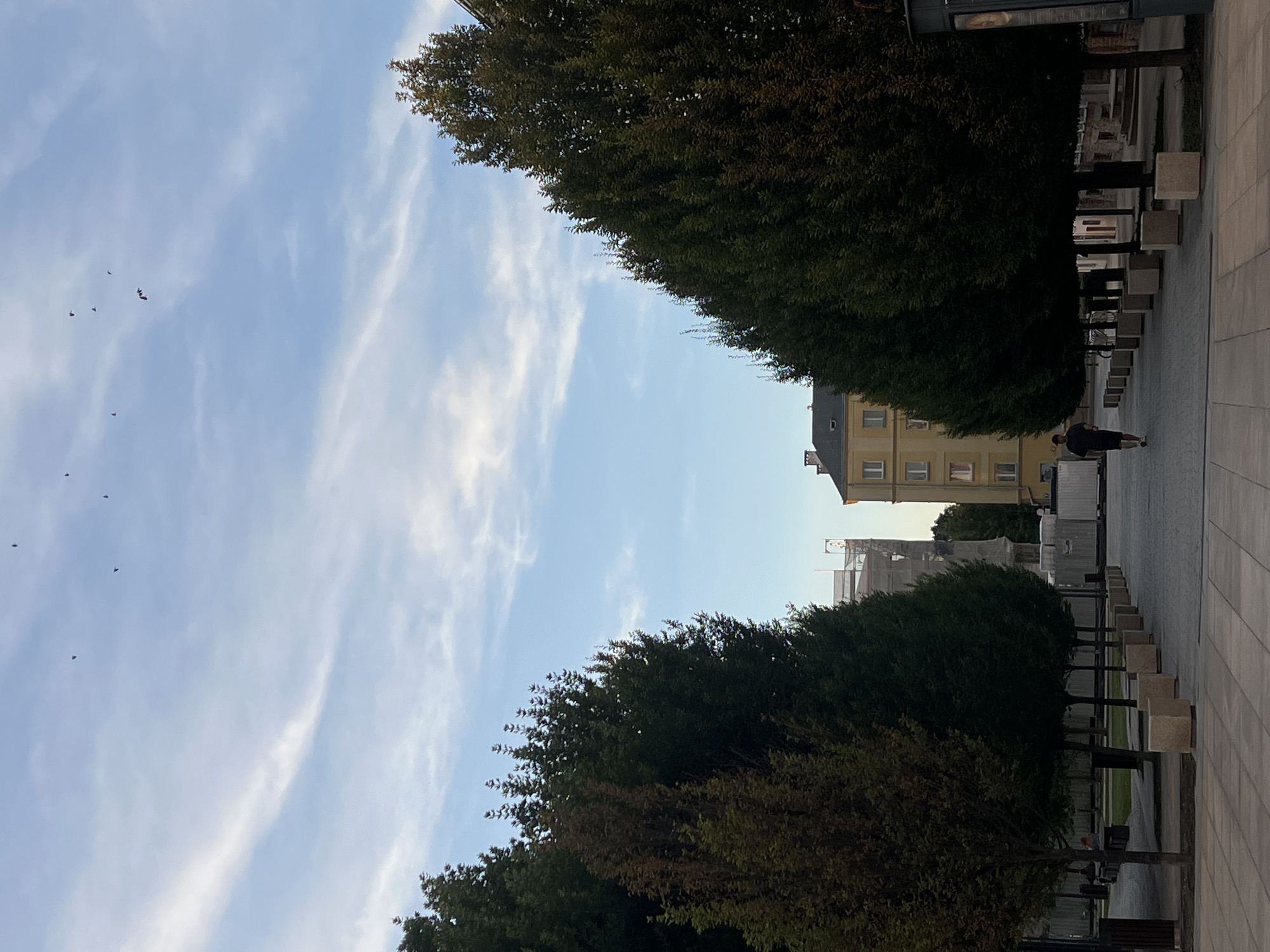 The image depicts a person walking down a paved pathway lined with trees on either side, towards a yellow building in the distance. The pathway appears to be part of a city park or promenade. In the background, there are buildings under construction and a clear sky with some clouds. The image was taken in Lublin, Poland.