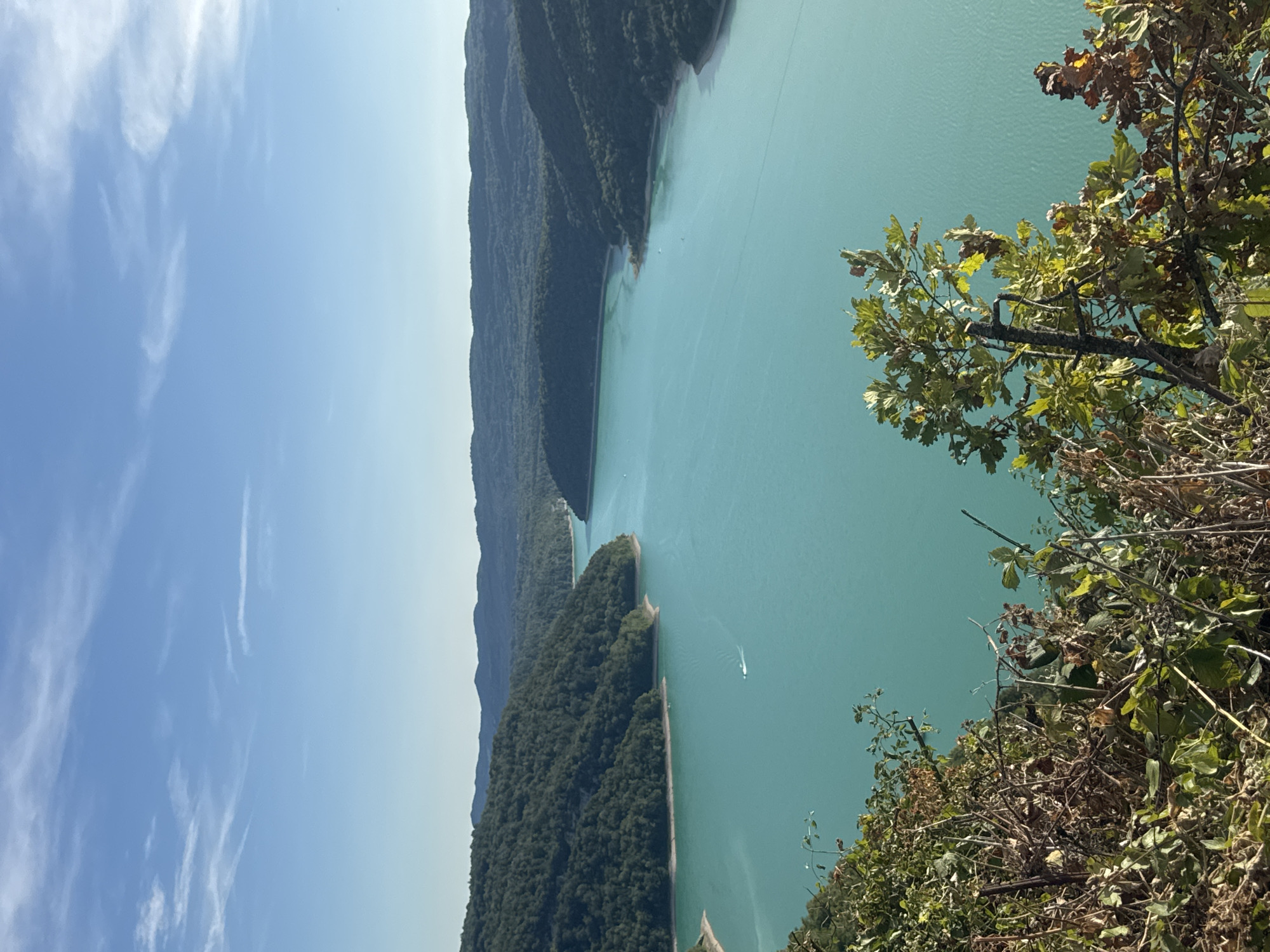 A high-angle, eye-level shot captures a sweeping vista of the Lac de Vouglans in Moirans-en-Montagne, France. The expansive turquoise water dominates the frame, with gentle ripples indicating a calm surface. The lake is nestled within rolling, densely forested hills that stretch into the distance, their slopes covered in a vibrant green canopy. The sky above is a clear, pale blue with wispy white clouds scattered sparsely. In the foreground, the edge of a rocky, overgrown embankment is visible, with dried leaves and branches adding texture. A small white boat with a visible wake is moving across the water, indicating activity on the lake. The overall scene is one of natural beauty and tranquility.