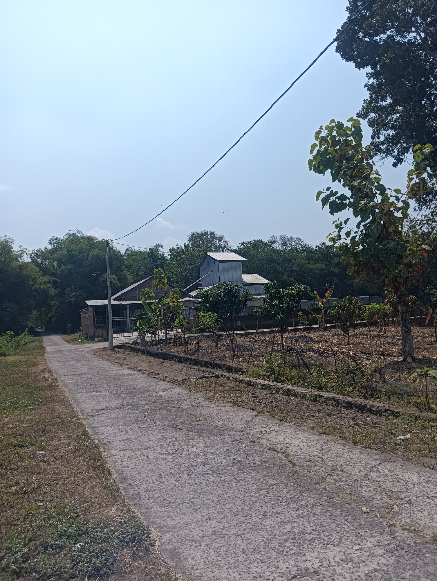 This is a photograph taken on a clear day in the city of Tanggan, Indonesia. The image depicts a rural scene featuring a paved road leading towards a cluster of houses. The road is bordered by dry grass and vegetation on one side, and a cultivated field with young trees and scattered debris on the other. The houses appear to be simple structures with metal roofs, surrounded by trees and a fence. A utility pole with a lamp stands beside the road. The sky is bright and clear, with a thin power line stretching diagonally across the upper portion of the frame.