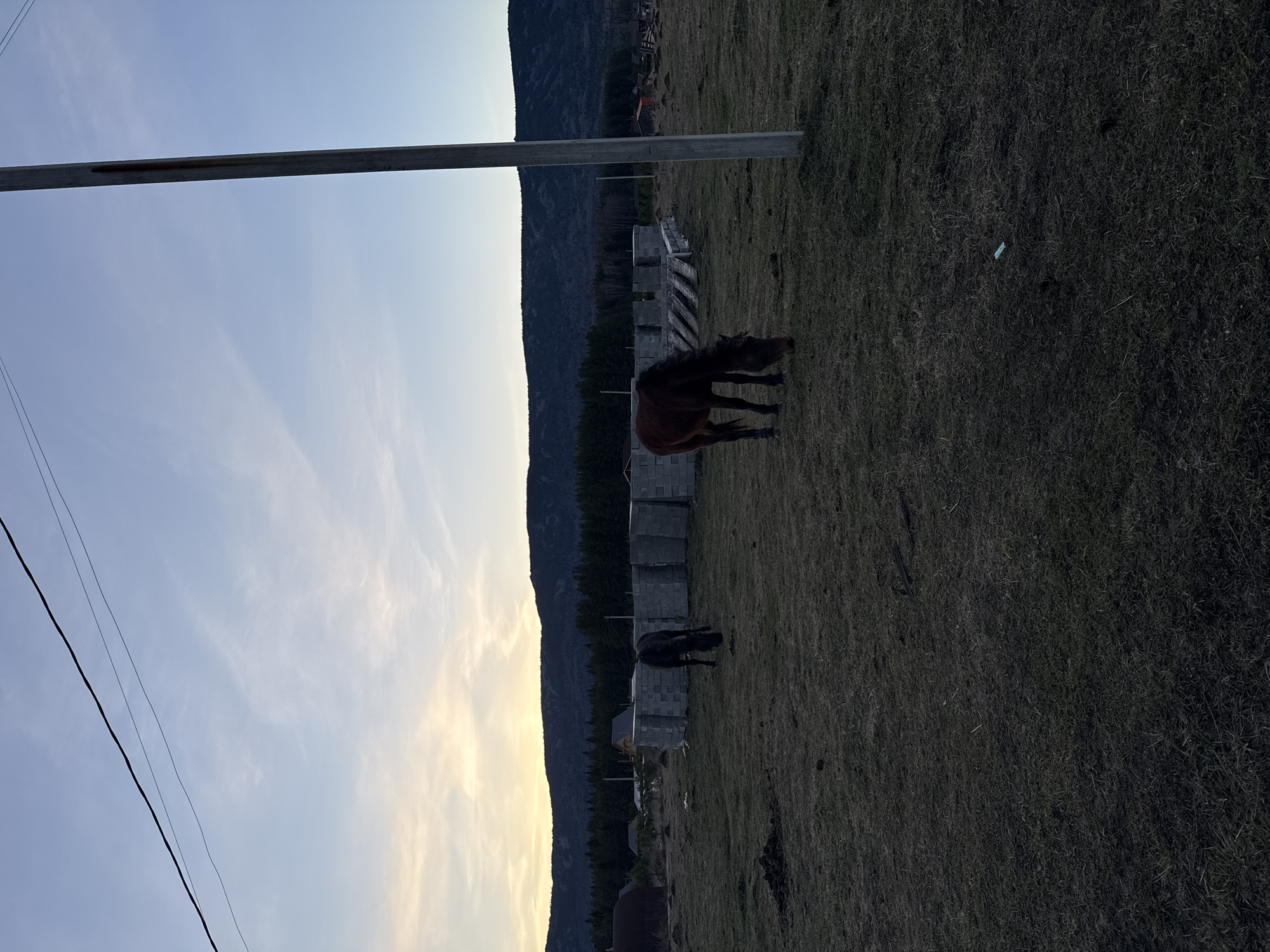 The image depicts a rural scene near Tyulyuk, Russia. A brown horse stands in a grassy field near a partially constructed cinder block building. In the distance, a dark forested mountainside rises. Two metal poles traverse the sky, with electrical wires visible on the left. The sky is light blue with patches of yellow. Another horse is further in the scene.