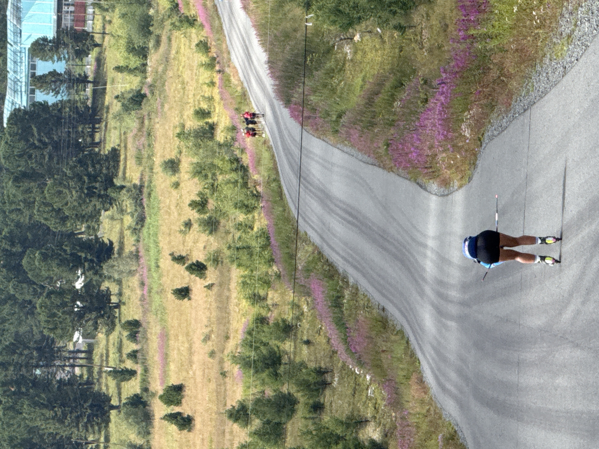 An exterior, eye-level, medium shot captures a lone female skier on roller skis ascending a paved road in T/B Seminskii Pereval, Russia. She faces away from the camera, wearing a blue and black racing suit, black shorts, and white socks. Her roller skis are black and yellow, and she holds two ski poles. The road curves upward into the distance, flanked by a grassy slope dotted with purple flowers. In the background, a group of four people, presumably also skiers, are visible further up the road. The environment is rural, with trees and a light blue building visible in the far distance beyond the rolling hills. The lighting suggests a sunny day, with shadows indicating midday sun.
