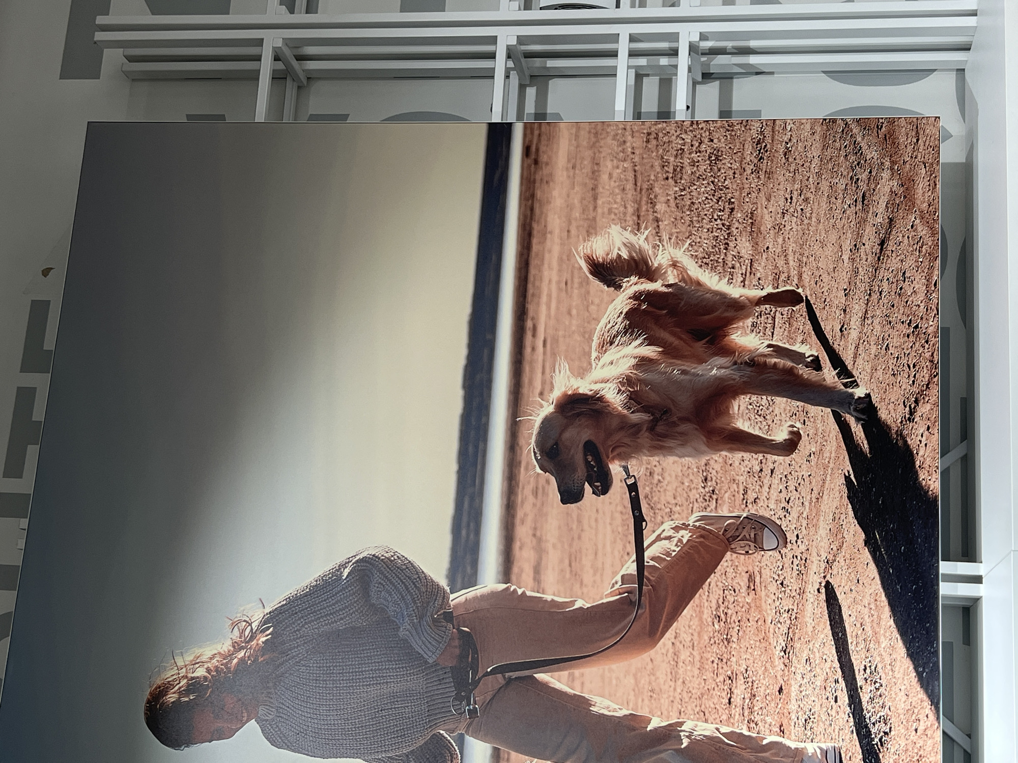 This image is a photograph, likely a large print or poster, displayed vertically on an indoor wall. The photograph depicts an outdoor scene featuring a person walking a dog.
In the photographic content, a person with long, reddish-brown hair is positioned on the left side, wearing a textured, light-colored long-sleeved top and light brown or beige pants, paired with white sneakers. A dark leash extends from their hand to a golden retriever dog on the right.
The dog is captured in what appears to be a joyful or excited state, looking up towards the person with its mouth slightly open. Its golden fur is illuminated by bright sunlight. The ground beneath the person and dog is a reddish-brown, textured surface, resembling a dirt path or arid terrain. The background on the left is a bright, hazy sky, suggesting an open outdoor environment.
Strong, direct sunlight casts distinct and elongated shadows from both the person and the dog onto the ground, indicating a clear, sunny day, possibly during the late afternoon or early morning. The interaction between the person and the seemingly happy dog conveys a sense of cheerful outdoor activity.
The overall media file shows the large print mounted against a light-colored wall, with white, grid-like structural elements visible above and to the right, suggesting a gallery, retail display, or exhibition setting. No discernible text is visible within the photographic image itself.