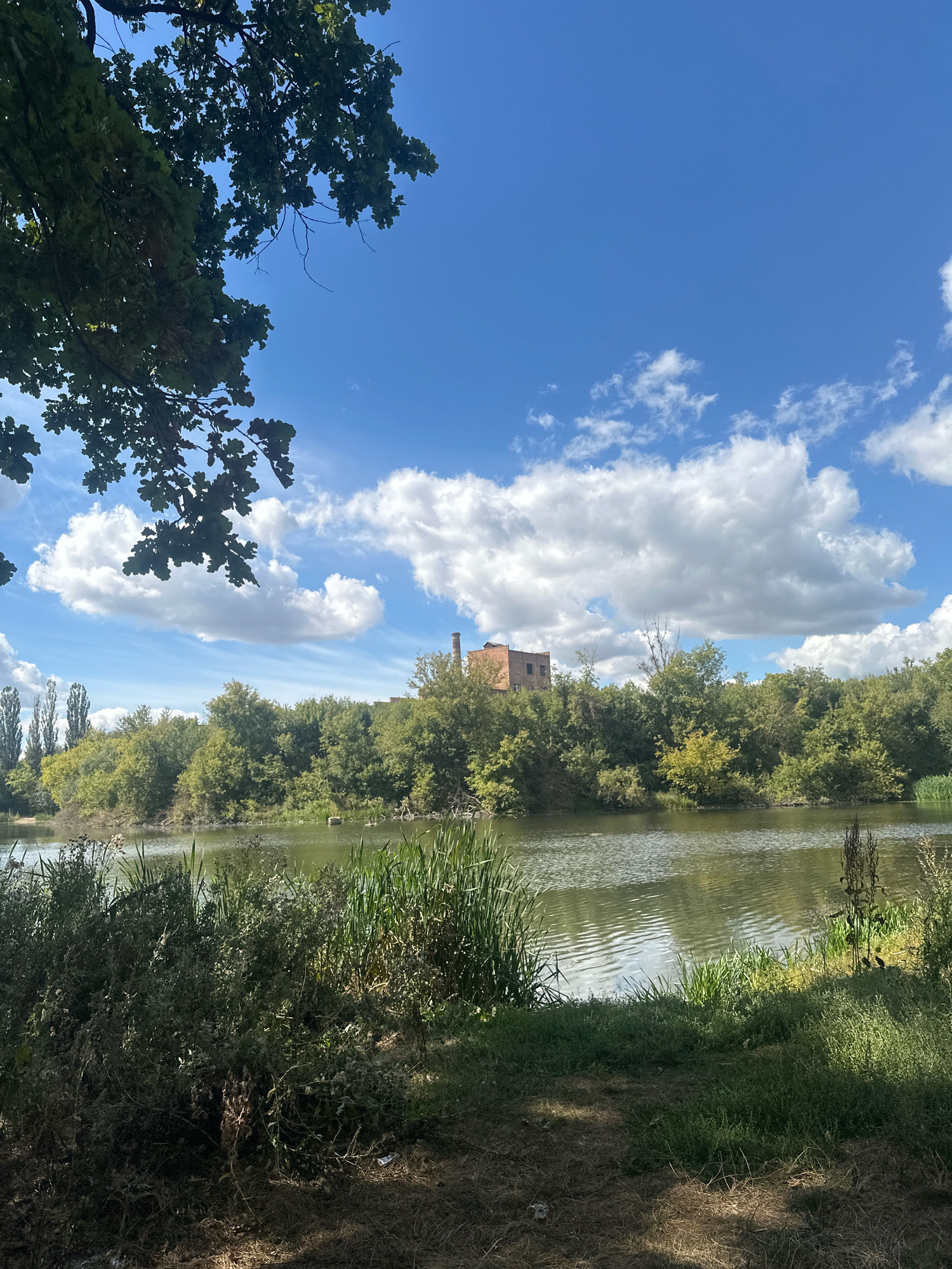The image depicts a tranquil natural scene with a body of water in the foreground, bordered by lush green vegetation. A brick building with a chimney is visible on the horizon, nestled amongst a dense line of trees. The sky above is a vibrant blue, dotted with fluffy white clouds, suggesting a pleasant day. The overall impression is one of rural serenity, potentially a park or a natural reserve within or on the outskirts of the city of Shatava, Ukraine. The foliage suggests a temperate climate, likely during the warmer months of the year.