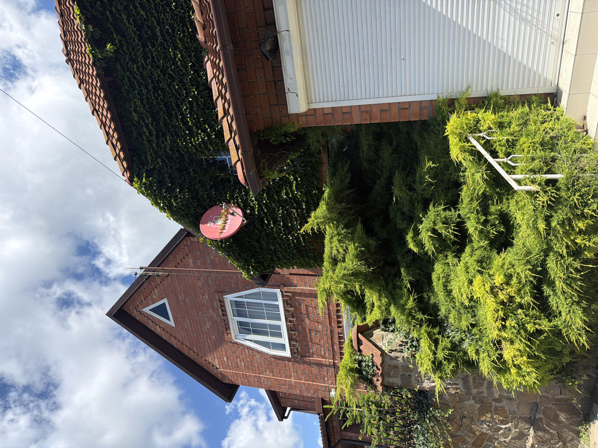 A low-angle medium shot captures the exterior of a brick house in Leningradskaya, Russia. The house features a tiled roof, a prominent triangular window on its upper left, and a satellite dish mounted on the exterior wall. The wall is partially covered in dense green ivy. In the foreground, a large, vibrant green evergreen shrub dominates the scene, with some parts appearing yellow-green. A stone wall is visible to the left of the shrub, and a white railing leads up to a closed white garage door on the right side of the image. The sky above is blue with scattered white clouds.