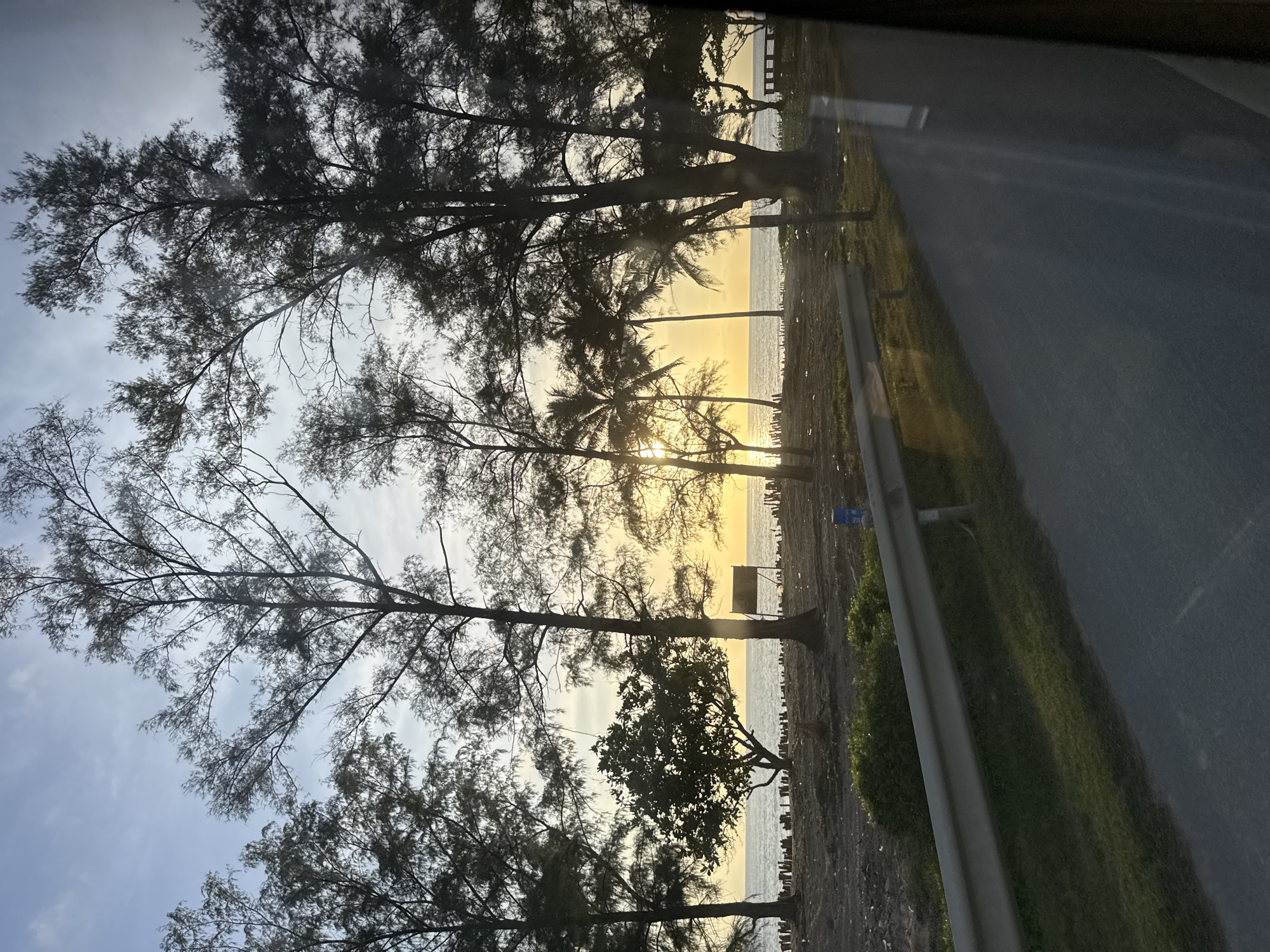 The image depicts a coastal scene at dusk, likely in Ban Tha Chat Chai, Thailand, as indicated by the presence of palm trees and the tropical lighting. In the foreground, a paved road runs diagonally from the bottom right towards the left, bordered by a grassy verge and a silver metal guardrail. Beyond the guardrail, a sandy area is visible, dotted with debris and leading to the sea. A dense line of trees, including tall pines and scattered palm trees, frames the view of the ocean. The sun is setting, casting a warm, golden glow over the water and creating a silhouette of the trees against the sky. The sky itself is a pale blue, with some wispy clouds. There are no people clearly visible in the image.