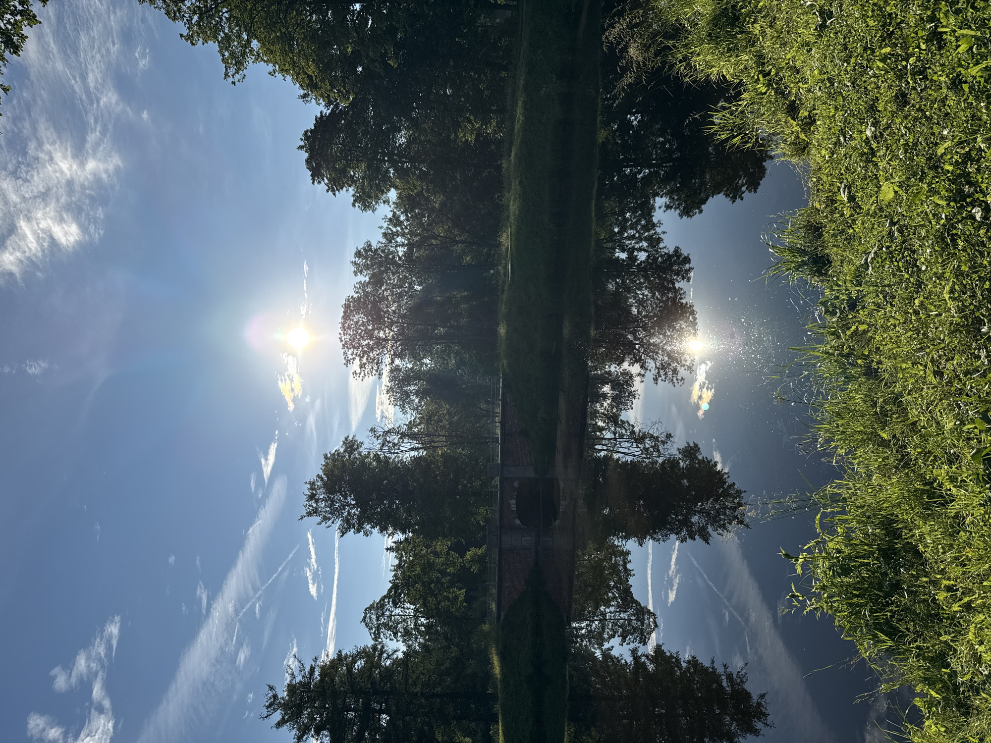 This image depicts a serene landscape likely located in the city of Pushkin, Russia, possibly within the grounds of the Catherine Palace or a similar park. The scene is dominated by a tranquil body of water, reflecting the clear blue sky, scattered white clouds, and the surrounding lush greenery. The sun is bright and positioned high in the sky, creating a gentle glare on the water's surface.
Along the far bank of the water, a dense line of mature trees forms a natural backdrop, their leaves a vibrant shade of green. Partially visible among the trees, an old brick bridge with a single arch spans the water, hinting at historical architecture often found in such locations. The foreground is characterized by a grassy embankment, densely covered with various types of grass and wildflowers, adding texture and color to the scene. The overall impression is one of natural beauty and peacefulness, typical of a well-maintained park in a historic setting. There are no people or animals visible in the image.