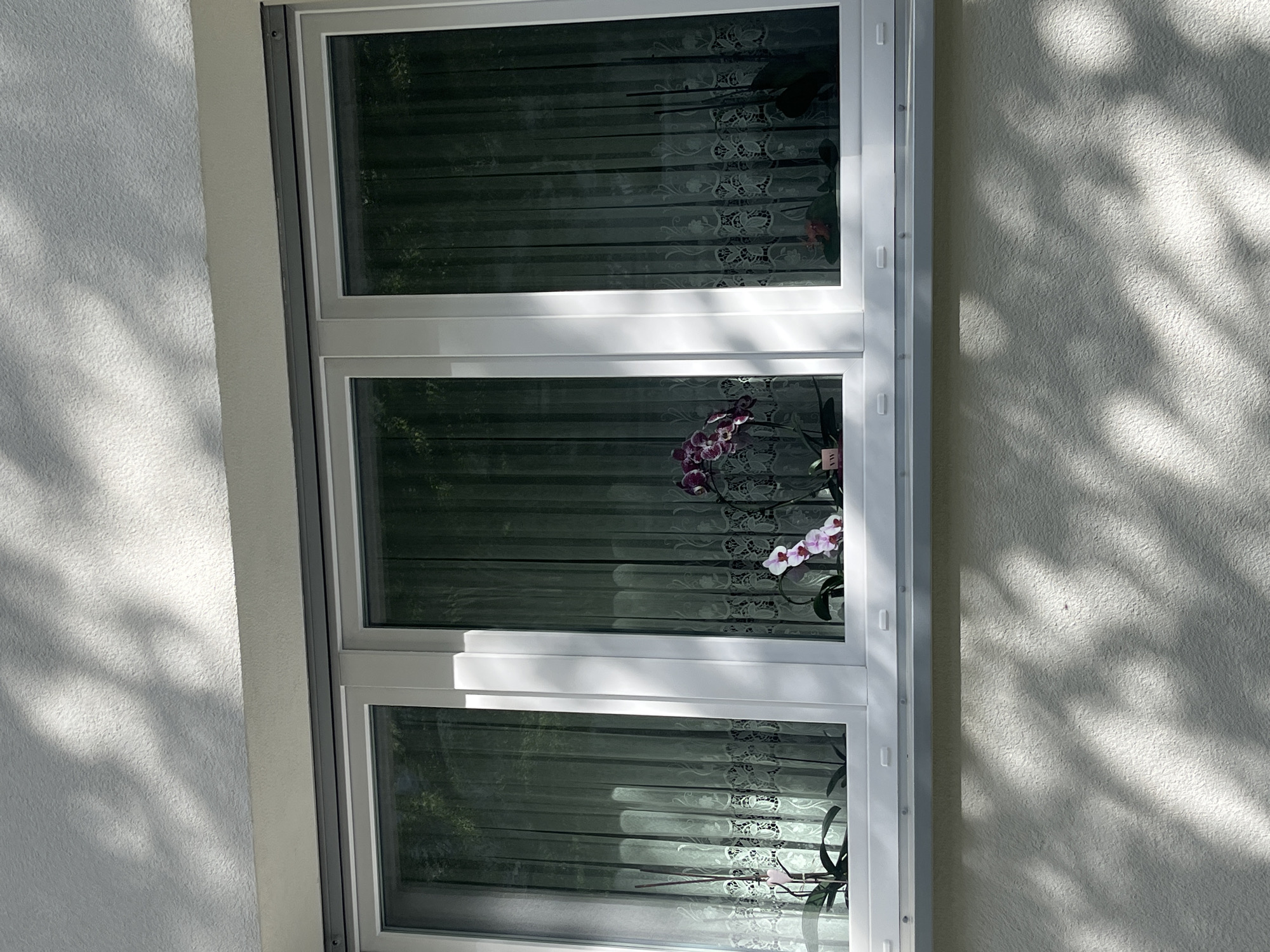 This image shows a white-framed, three-panel window with sheer curtains inside. Several orchid plants are visible on the windowsill. One orchid on the left has pink flowers. In the center, an orchid has purple and white flowers. On the right, another plant is visible. The window is set into a textured, off-white exterior wall, which is illuminated by sunlight casting dappled shadows from tree branches. The scene appears to be from a residential building. There is no visible information to determine the specific location within Berlin, Germany.