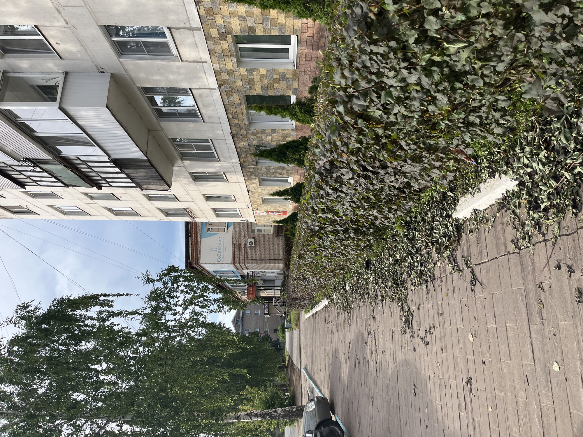 This image depicts a sidewalk and a building in the city of Chaikovsky, Russia. On the left side of the image is a sidewalk made of rectangular pavers, with a parked car visible in the lower left corner. A tall birch tree with green foliage overhangs the sidewalk.
The sidewalk runs alongside a thick, dark green hedge that appears to be shedding leaves, as fallen leaves are scattered on the sidewalk and at the base of the hedge. Beyond the hedge, a light-colored, multi-story apartment building stands. The building has several windows and balconies, and the lower portion of its facade is clad in stone tiles.
To the right of the sidewalk and hedge, a smaller brick building is visible, which appears to be a commercial establishment. It has a sign with Russian text that reads "Созвездие" (Sozvezdie), indicating a constellation or a group of stars, and below that, "лечебно-оздоровительный центр" (health and wellness center).
Further down the street, more apartment buildings are visible in the background, suggesting a residential area. The sky is cloudy, with a mix of blue sky and grey clouds. The overall scene suggests an outdoor urban environment in Chaikovsky, possibly during autumn due to the fallen leaves.