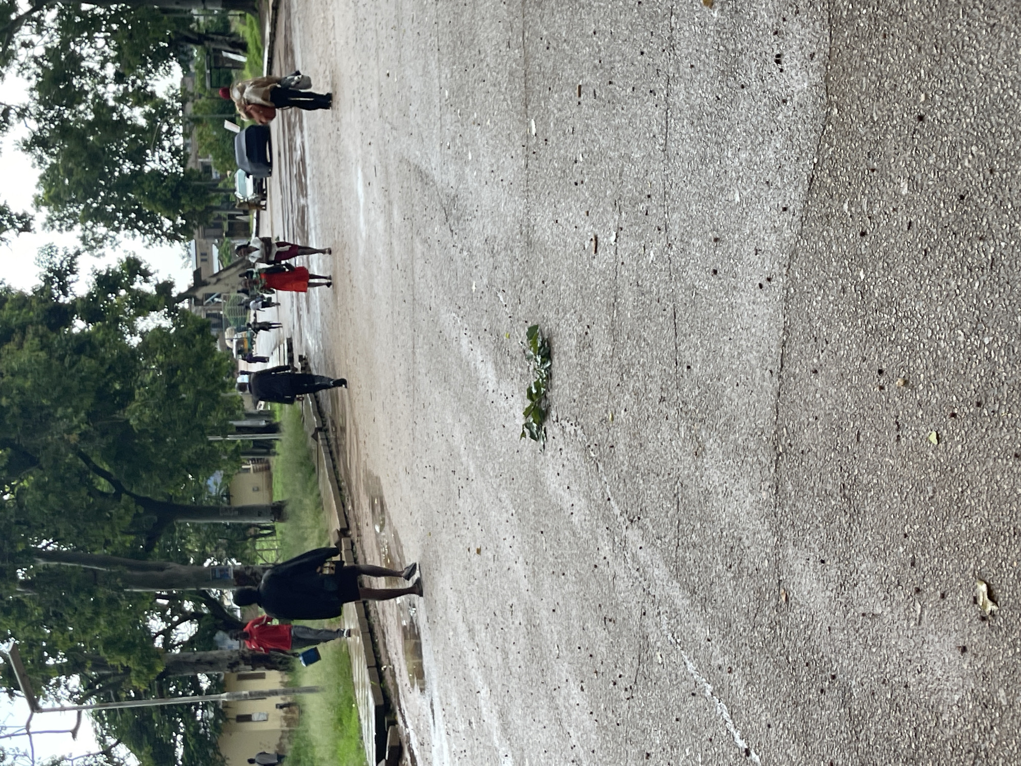 The image depicts an outdoor scene with several people walking on a wet asphalt surface, suggesting it has recently rained. The setting appears to be a street or pathway lined with trees and some buildings in the background, consistent with a location in Rafin Par, Nigeria. The time of day is unclear, but the overcast conditions suggest it might be a cloudy day.
Several individuals are visible in the frame. In the foreground, a person wearing a black jacket and shorts is walking away from the camera, with another person in a red shirt and dark pants visible further down the path. Further up the path, a person in a red dress and another in a white top and red skirt are walking towards the camera. Towards the top of the image, a person in a light-colored jacket is walking away, carrying bags. The people are dressed in casual attire, and their postures do not convey any particular emotion, appearing to be engaged in everyday movement.
The asphalt surface shows signs of moisture, with visible puddles and streaks, indicating the recent rainfall. A small plant is growing in a crack on the asphalt, adding a natural element to the otherwise urban environment. There are no visible signs or text in the image. The overall impression is one of a quiet, ordinary moment in a Nigerian locale, likely after a rain shower.