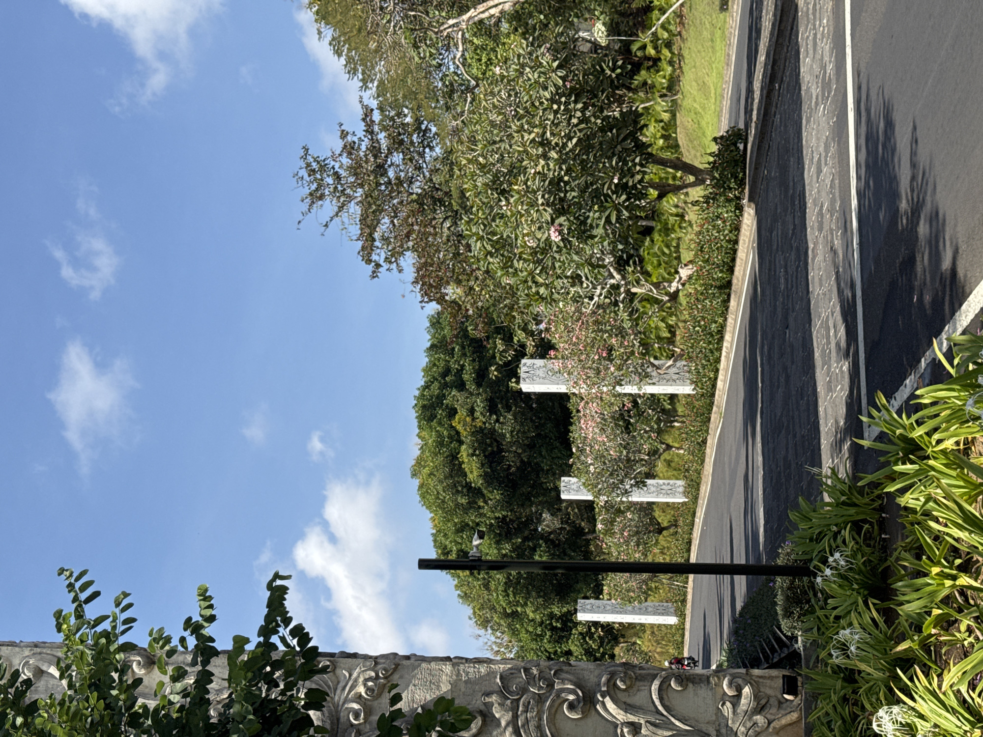This is a vertical, eye-level, medium shot of a paved road lined with decorative pillars and lush vegetation under a bright blue sky with scattered white clouds. On the left, a stone pillar with intricate carvings frames the scene. Further down the road, a motorcycle is visible. The road surface is a dark, textured paving with white lane markings. Flanking the road are manicured hedges and trees, some with pink flowers. In the foreground, a cluster of green plants with white, spidery flowers is prominent. The overall impression is of an entrance to a well-maintained estate or resort in a tropical location. The image captures a sunny day with clear visibility.