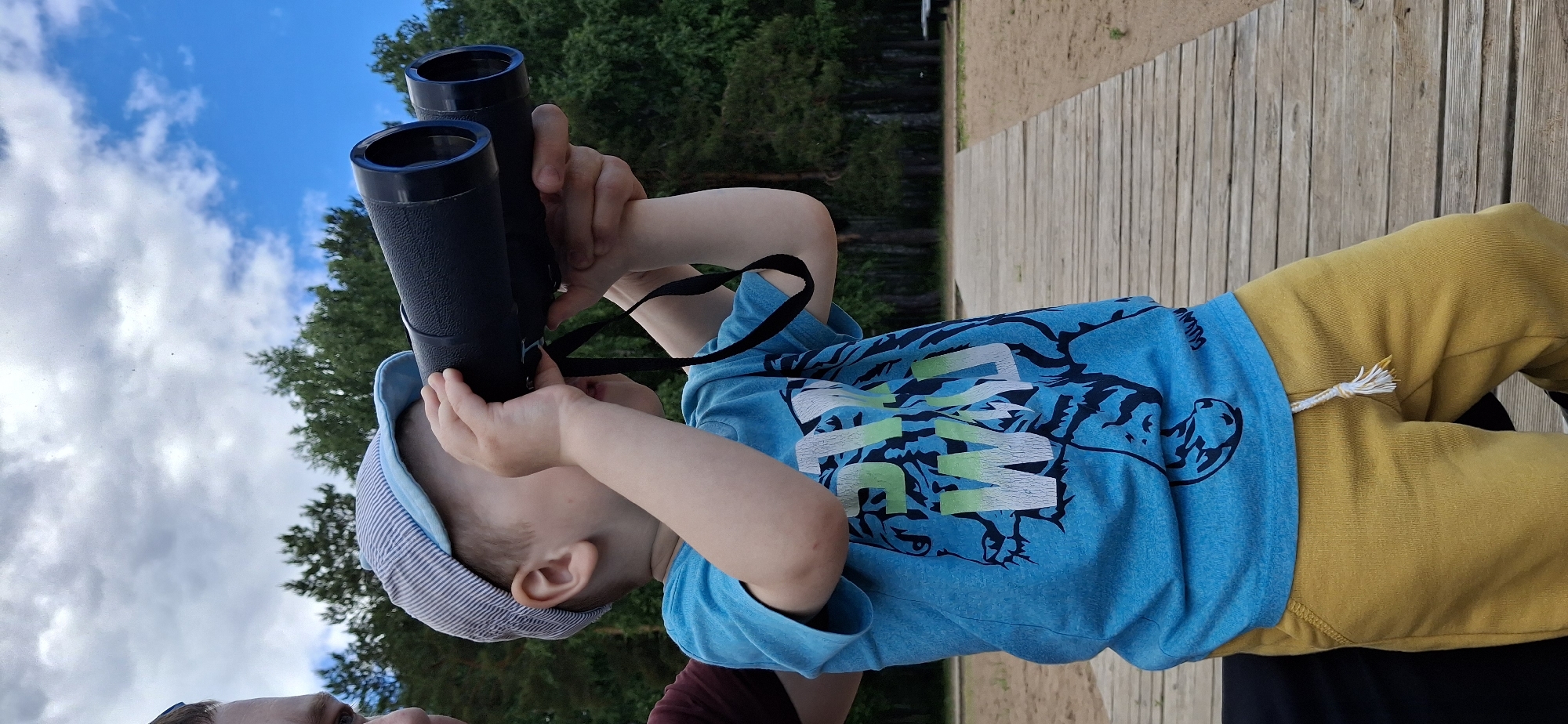 A young child, approximately three to five years old and appearing male, is depicted from the waist up, centrally focused, and holding large black binoculars to their eyes. The child has light skin and light hair, partially covered by a blue and white striped cap with a light blue brim. They are wearing a short-sleeved, bright blue t-shirt featuring a faded graphic of a tiger in dark blue with the words "STAY WILD" in white and light green. Mustard yellow sweatpants with a white and yellow drawstring complete the attire. The black binoculars have prominent blue rings around the objective lenses and a black neck strap. The child's hands are wrapped around the binoculars, directing them forward and slightly upward. On the far left, the left eye, eyebrow, and a portion of the left shoulder and upper arm of another person, presumably an adult, are visible; this individual is wearing a dark red or maroon shirt.
The background consists of a partly cloudy sky with significant cloud cover but also visible patches of clear blue sky on the right side. Beneath the sky, a dense forest of green coniferous trees spans the mid-ground. A light-colored wooden boardwalk extends diagonally from the lower right foreground into the mid-ground, alongside a sandy area. Further into the background, beneath the trees, a dark structure resembling a picnic table or bench can be discerned. The scene takes place outdoors during daylight hours in the city of Chaikovsky, Russia, capturing an instance of a child engaging in observation with binoculars, possibly assisted or supervised by an adult.