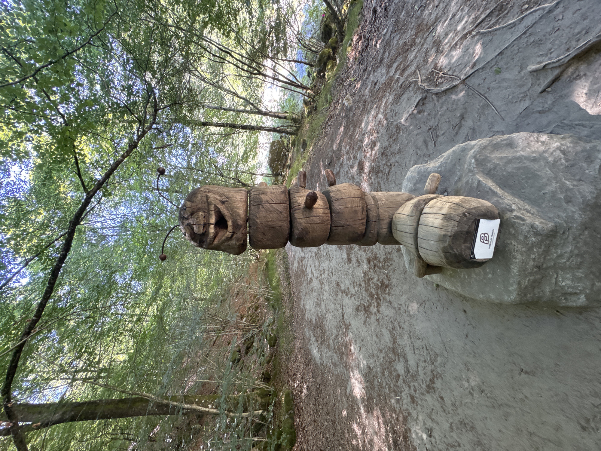 A wooden sculpture of a caterpillar stands on a rock beside a dirt path in a forest. The caterpillar is made of stacked, round wooden sections, with a carved face on the top section and smaller wooden protrusions for legs. The sculpture has two thin antennae with small round balls at the ends. A small white sign with a black logo and the text "PUBBLISTUDIO" is affixed to the rock. The surrounding environment is a forest with tall trees and dappled sunlight. A body of water is visible in the background, and rocks and fallen leaves are scattered on the ground. The image appears to be taken in the city of Verzasca, Switzerland, as indicated by the presence of the "PUBBLISTUDIO" sign which is a local business.