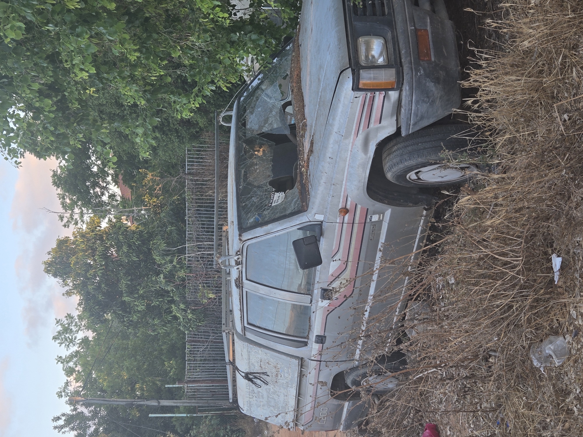 A silver pickup truck, appearing aged and possibly abandoned, is the primary subject of this image. It is situated amidst dry, overgrown vegetation and appears to have a broken windshield and some visible damage to its body. The truck has a two-tone paint scheme with pink and red stripes along its side. The rear section of the truck bed appears to be a different color, possibly gray or silver, and has some markings that are difficult to decipher.
The scene is set outdoors with a backdrop of lush green trees, suggesting a natural or semi-rural environment. A metal fence is visible behind the truck. The sky in the background shows hints of soft clouds and light, indicating it could be late afternoon or early evening. The overall impression of the scene is one of neglect and disuse, with the truck blending into the overgrowth. There is some visible debris on the ground around the truck, including what appear to be plastic bottles. The orientation of the image is sideways. No people are visible. The text "L200" is visible on the side of the truck.