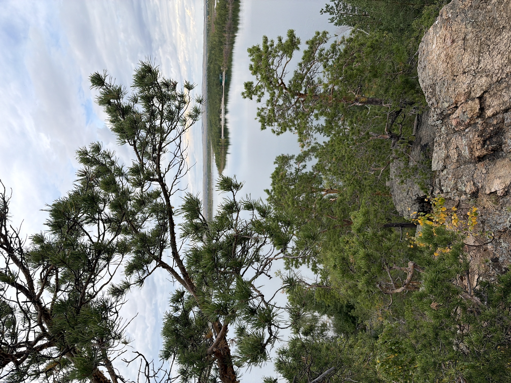 The image captures a natural landscape, likely within the Зелёный Бор ауылдық округі, Kazakhstan, characterized by a serene lake surrounded by dense coniferous forest. In the foreground, rugged rocks and the branches of pine trees with vibrant green needles dominate the view, partially obscuring the scene beyond. The pine branches, some bare and gnarled, others lush with foliage, create a natural frame for the vista.
Beyond the immediate rocky and wooded terrain, the tranquil lake stretches out, its surface reflecting the overcast sky. Along the far shore of the lake, a strip of forest is visible, dotted with a few scattered structures, including what appears to be a small building and a white structure resembling a boathouse or pier. The horizon is marked by a gentle rise of land, also covered in trees, and faint silhouettes of wind turbines can be spotted in the distance, suggesting the proximity of human infrastructure to this otherwise wild setting. The overall atmosphere is one of quietude and natural beauty, under a cloudy sky that hints at a cool, possibly late autumn day. There are no people visible in the image, and no actions or interactions are depicted.