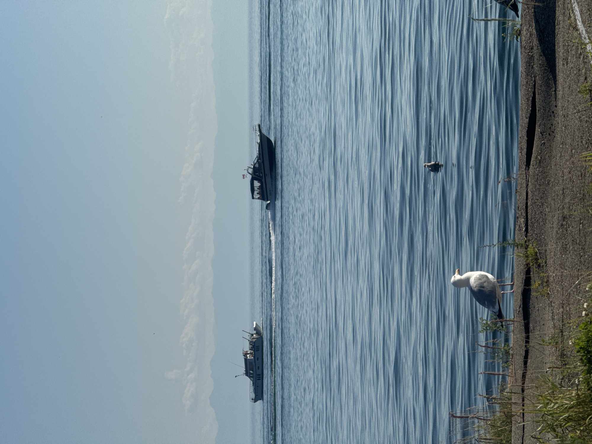 On a clear day, two boats navigate across a calm, blue body of water. The boat on the left appears to be a fishing vessel, with people visible on deck. It leaves a wake behind it as it moves. The boat on the right is smaller and sleeker, also creating a visible wake. In the foreground, a seagull stands on a concrete embankment, facing left. Another seagull is visible in the water to the right of the standing seagull, seemingly swimming. The background shows a hazy, mountainous horizon. The scene is likely located on Lake Baikal in Listvyanka, Russia, given the geographical features.